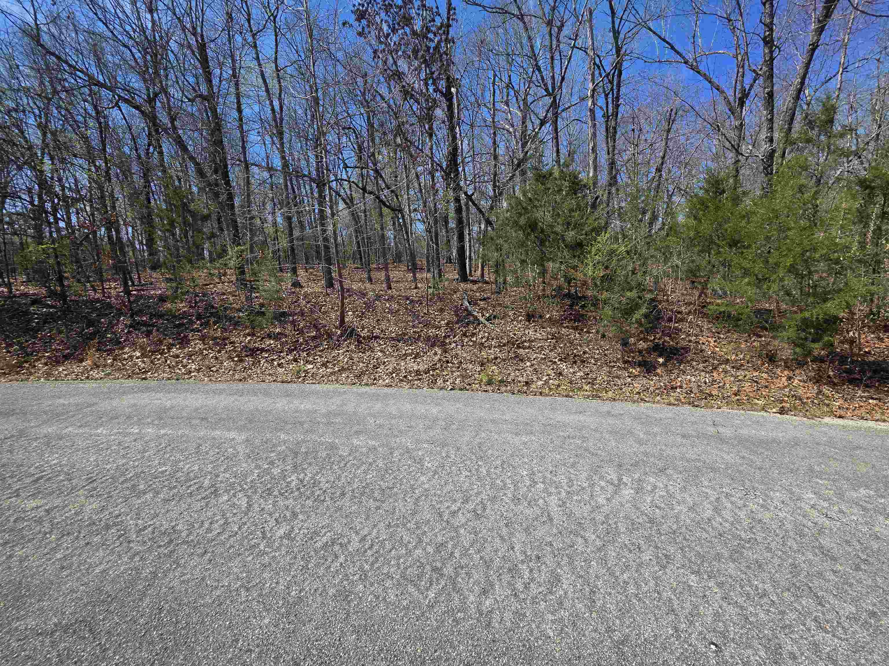 Photo 3 - Vacant Land for sale – L-61 B-10  Oklahoma   Cherokee Village, AR