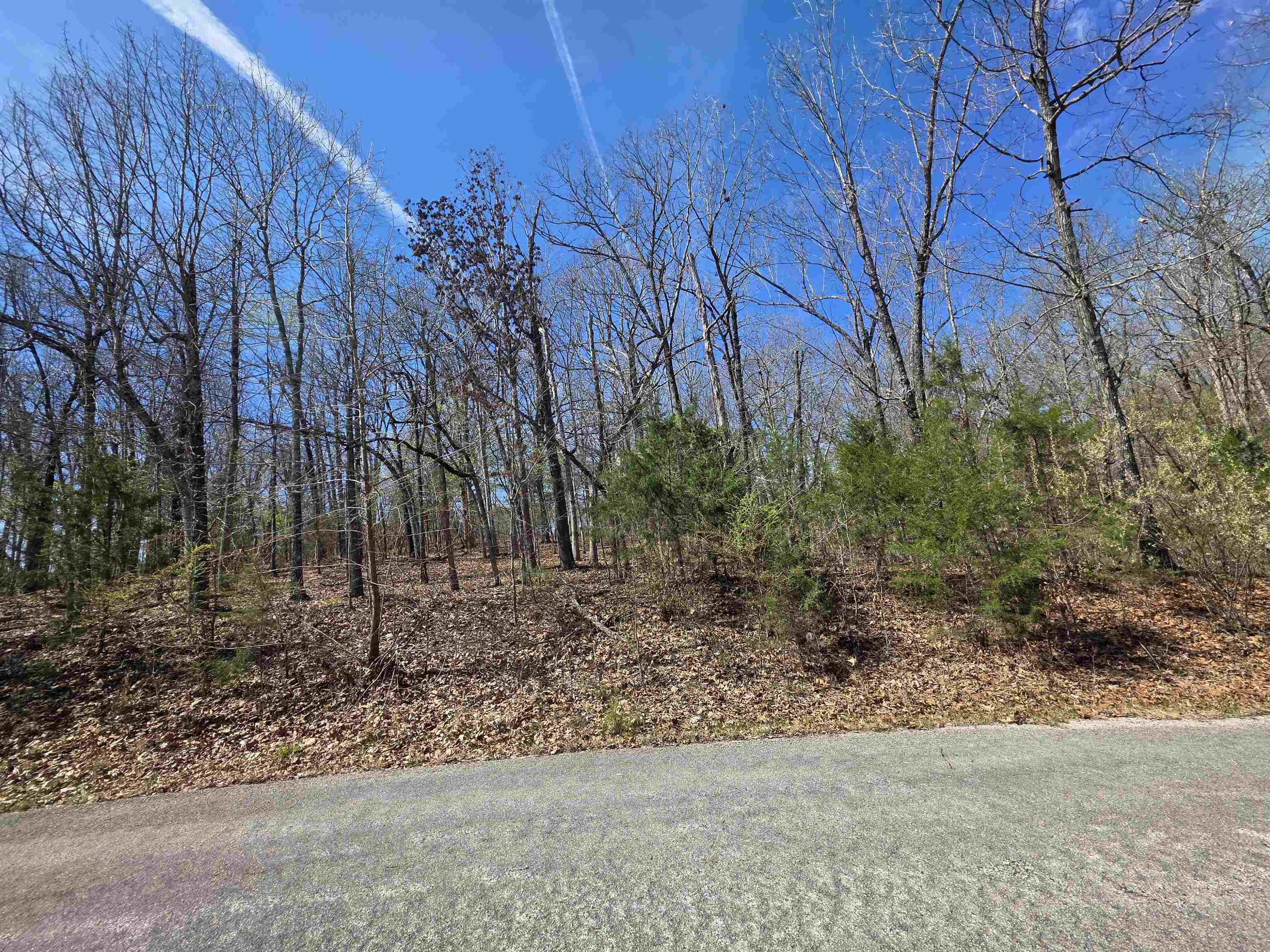 Photo 4 - Vacant Land for sale – L-61 B-10  Oklahoma   Cherokee Village, AR