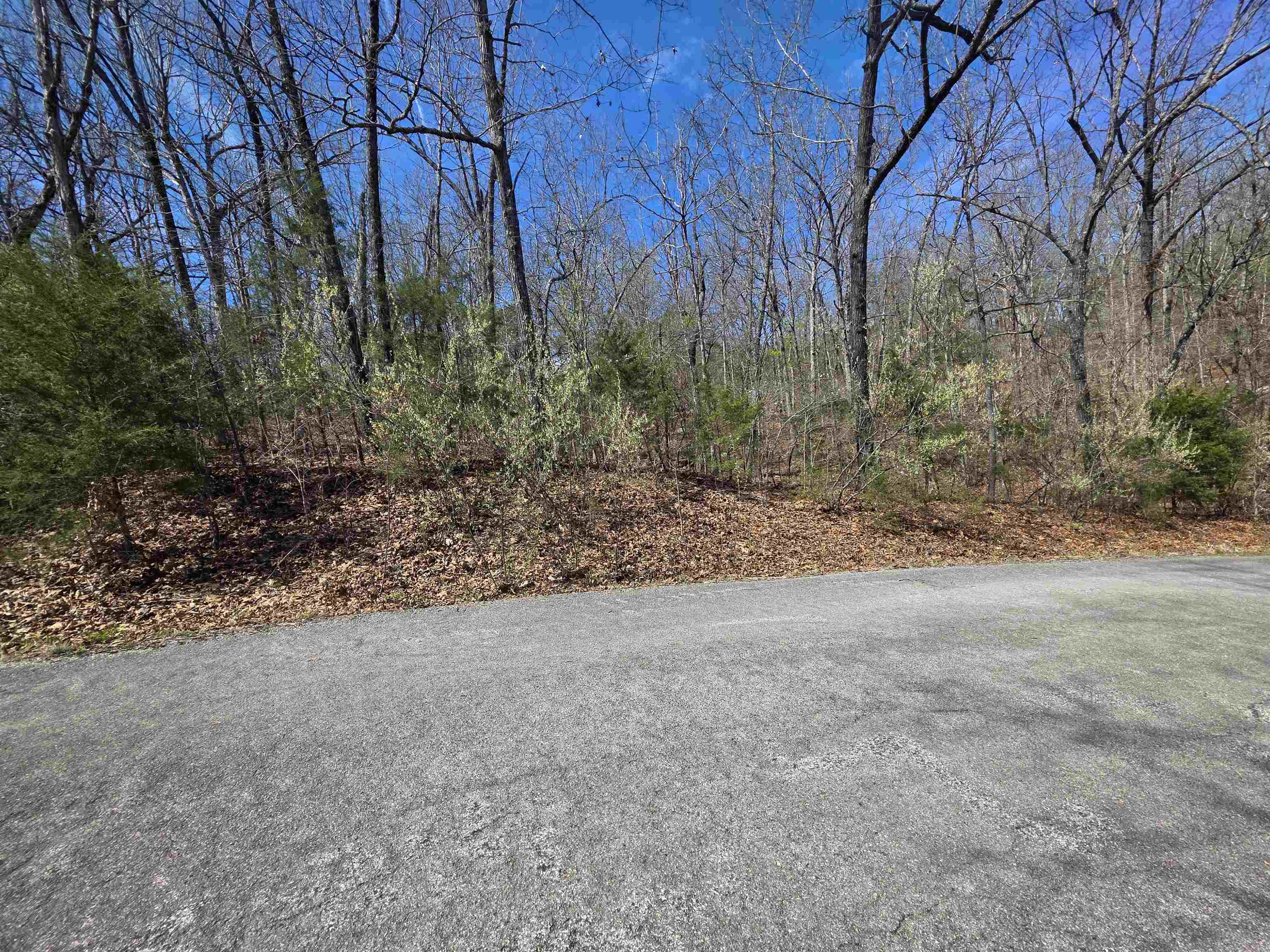 Photo 5 - Vacant Land for sale – L-61 B-10  Oklahoma   Cherokee Village, AR