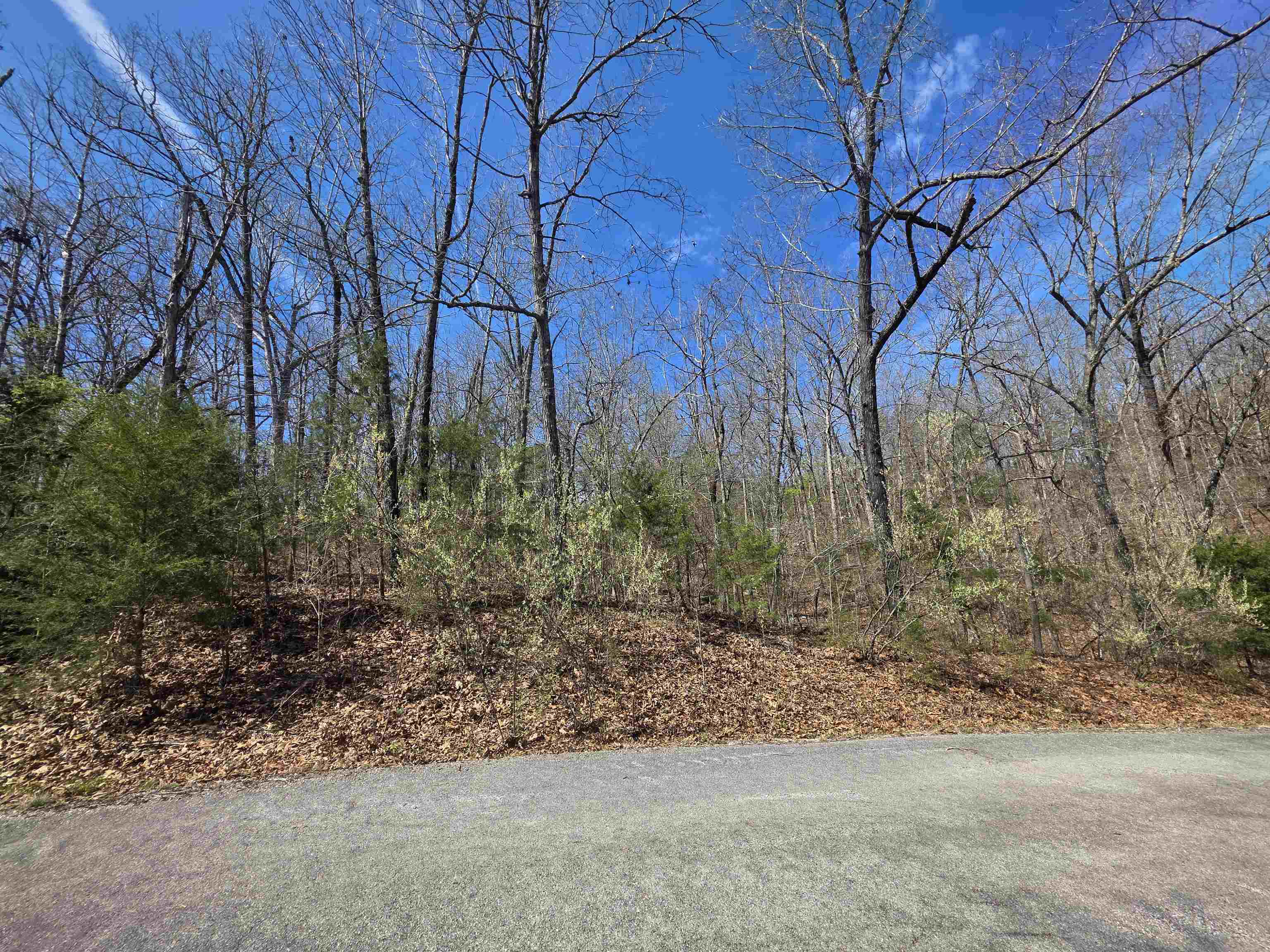 Photo 6 - Vacant Land for sale – L-61 B-10  Oklahoma   Cherokee Village, AR