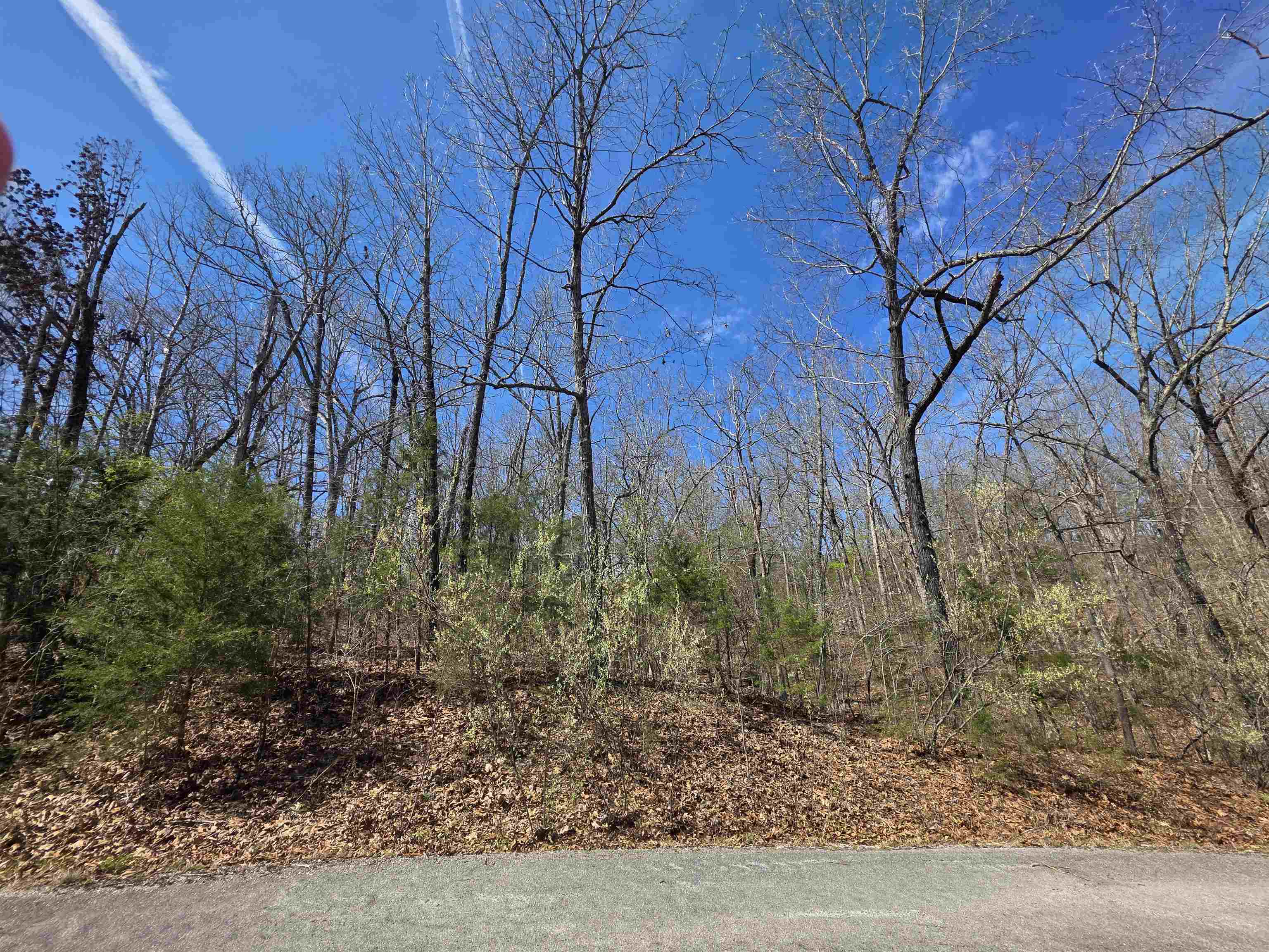 Photo 7 - Vacant Land for sale – L-61 B-10  Oklahoma   Cherokee Village, AR