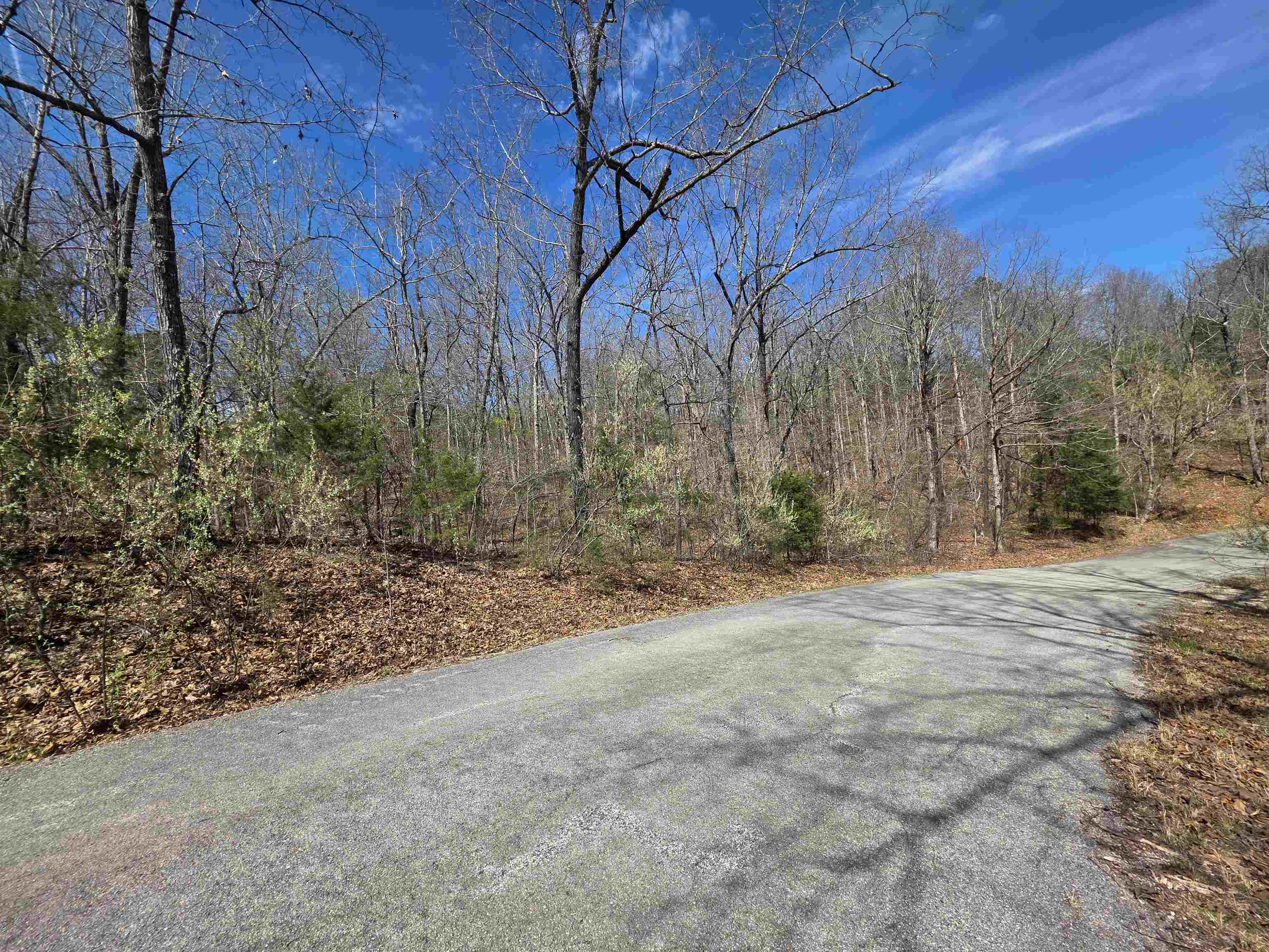 Photo 8 - Vacant Land for sale – L-61 B-10  Oklahoma   Cherokee Village, AR