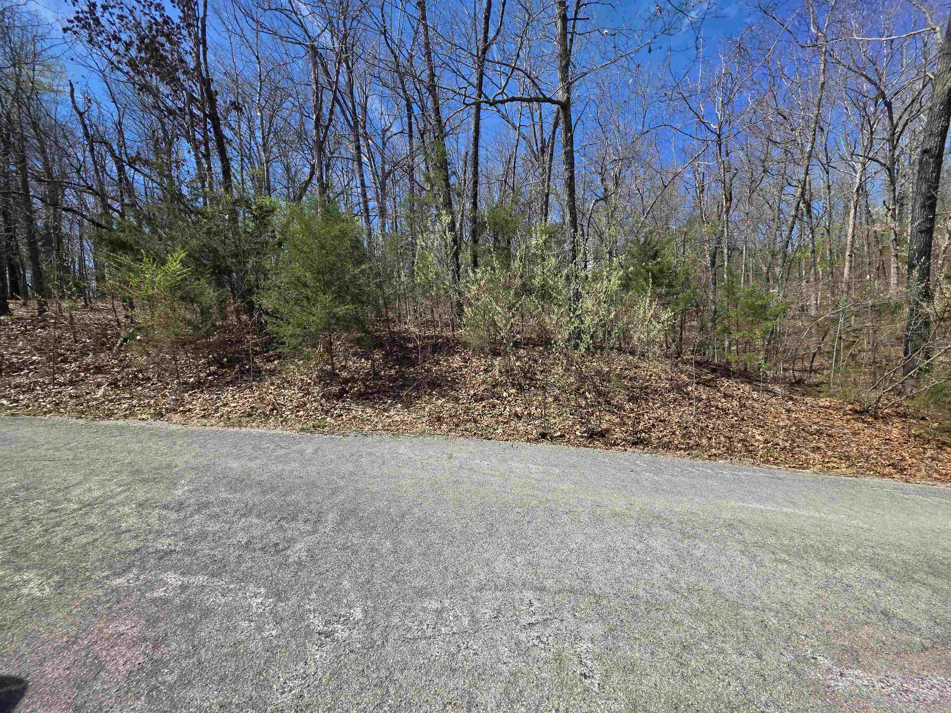 Photo 9 - Vacant Land for sale – L-61 B-10  Oklahoma   Cherokee Village, AR