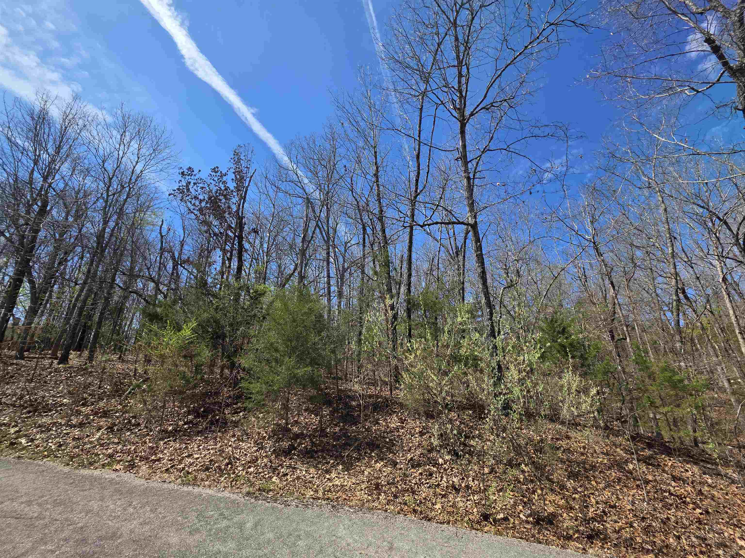 Photo 10 - Vacant Land for sale – L-61 B-10  Oklahoma   Cherokee Village, AR