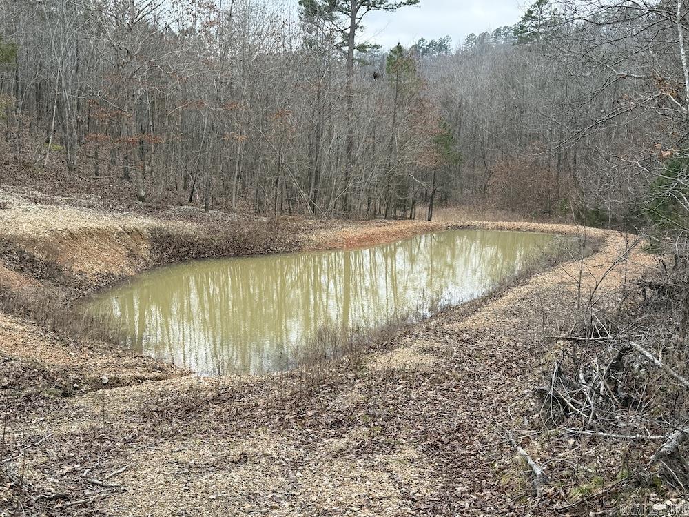 Photo 12 - Residential for sale – 627  Dogwood Hollow Road   Melbourne, AR