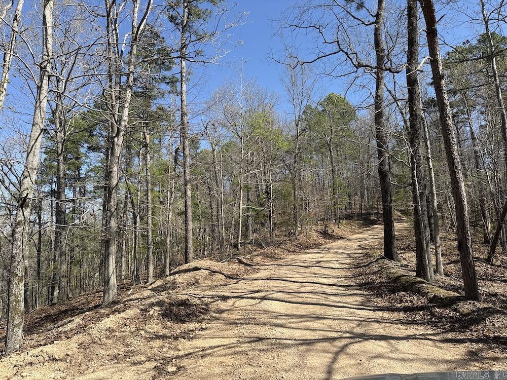 Photo 39 - Residential for sale – 627  Dogwood Hollow Road   Melbourne, AR