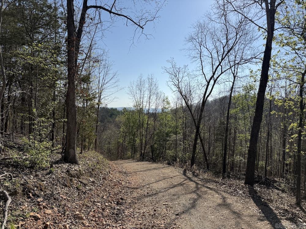 Photo 41 - Residential for sale – 627  Dogwood Hollow Road   Melbourne, AR