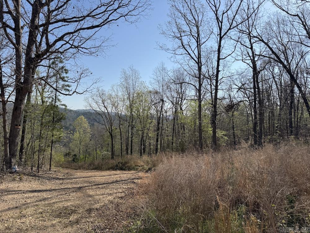 Photo 43 - Residential for sale – 627  Dogwood Hollow Road   Melbourne, AR