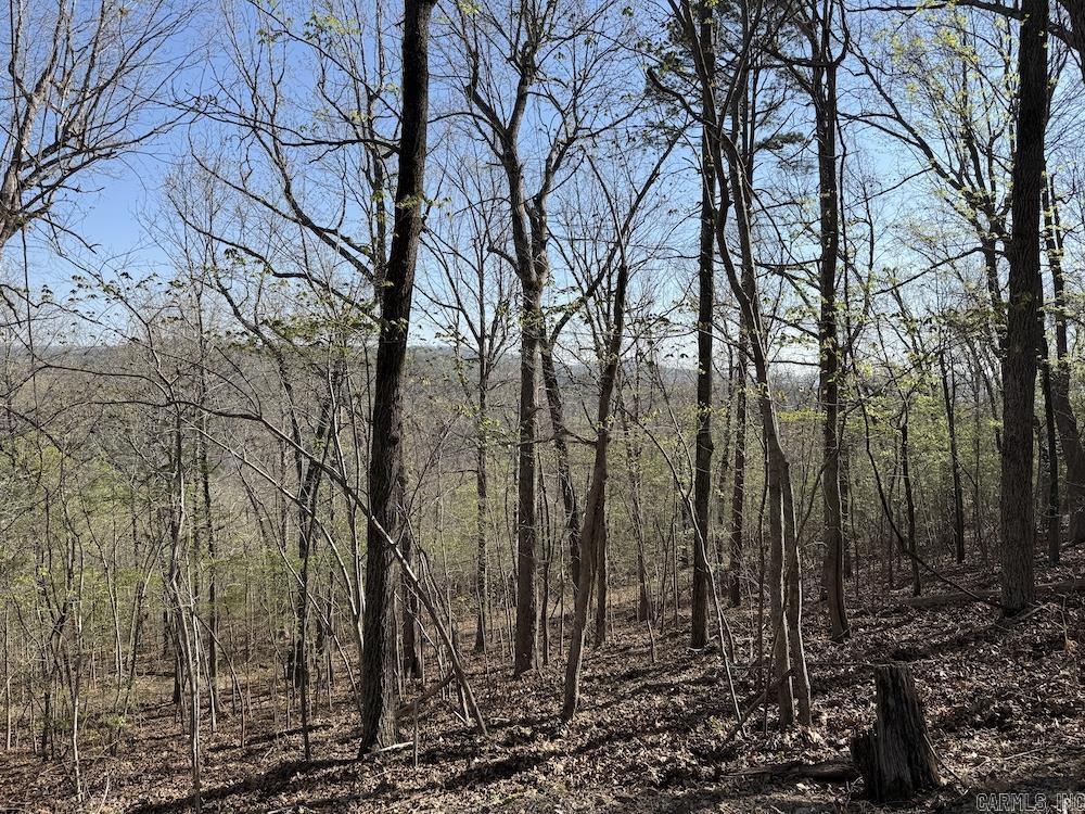 Photo 44 - Residential for sale – 627  Dogwood Hollow Road   Melbourne, AR