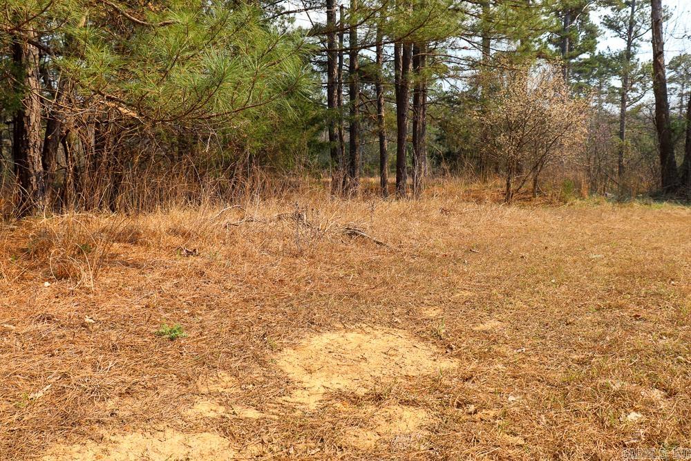 Photo 35 - Residential for sale – 1455  Highway 115   Smithville, AR