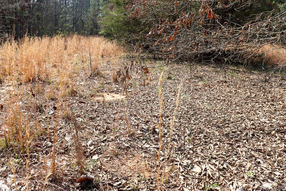 Photo 36 - Residential for sale – 1455  Highway 115   Smithville, AR