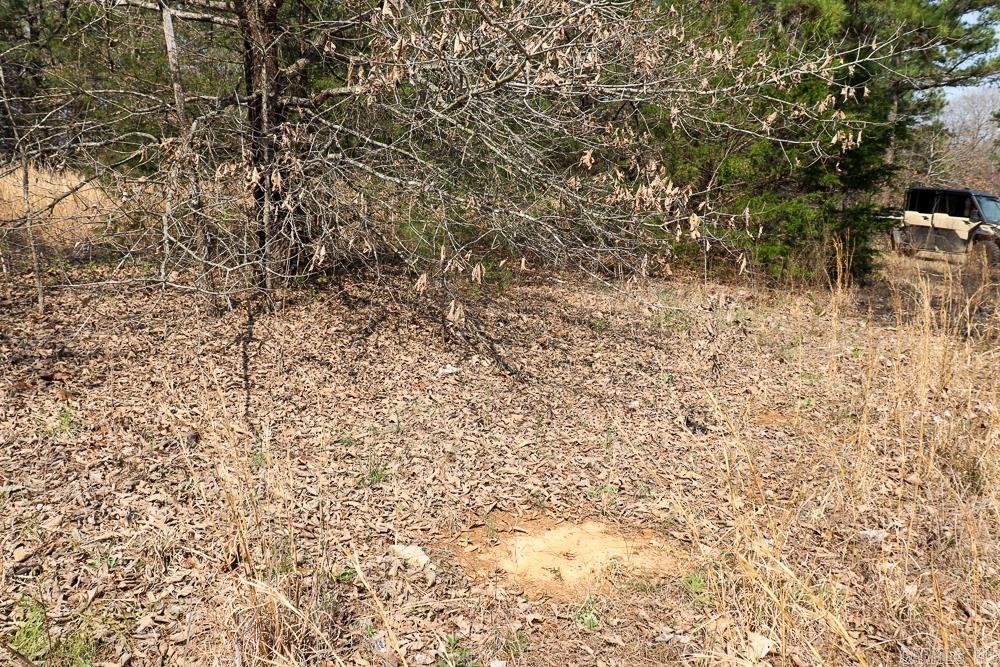 Photo 37 - Residential for sale – 1455  Highway 115   Smithville, AR