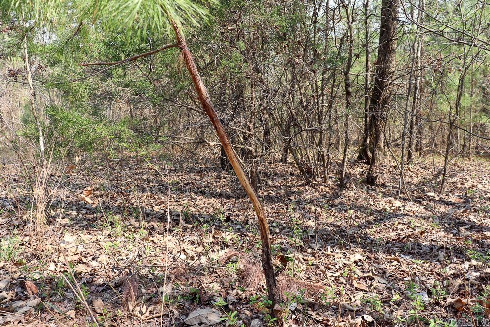 Photo 38 - Residential for sale – 1455  Highway 115   Smithville, AR