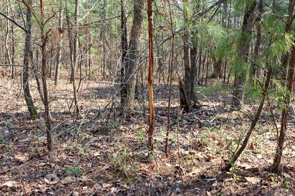 Photo 39 - Residential for sale – 1455  Highway 115   Smithville, AR