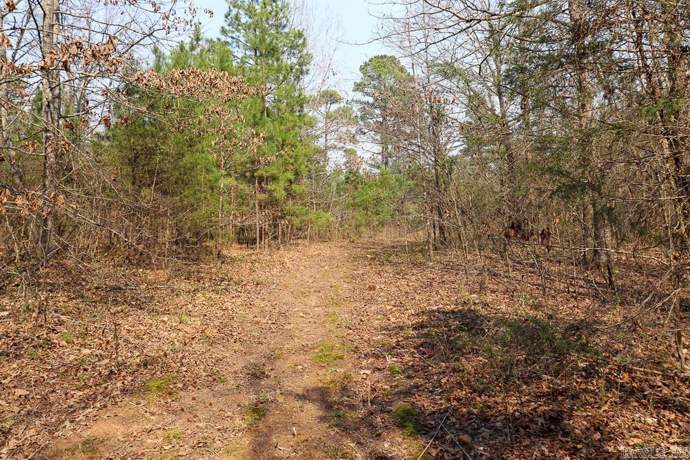 Photo 40 - Residential for sale – 1455  Highway 115   Smithville, AR