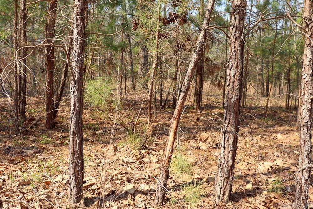 Photo 41 - Residential for sale – 1455  Highway 115   Smithville, AR