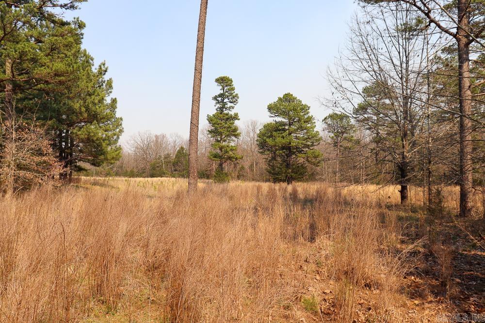 Photo 46 - Residential for sale – 1455  Highway 115   Smithville, AR