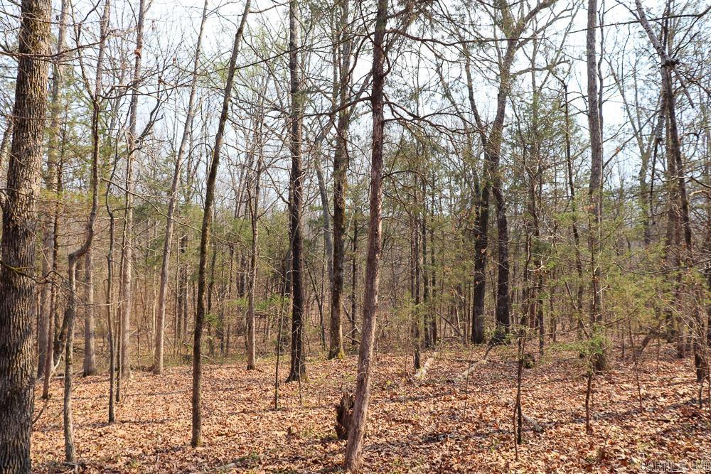 Photo 50 - Residential for sale – 1455  Highway 115   Smithville, AR