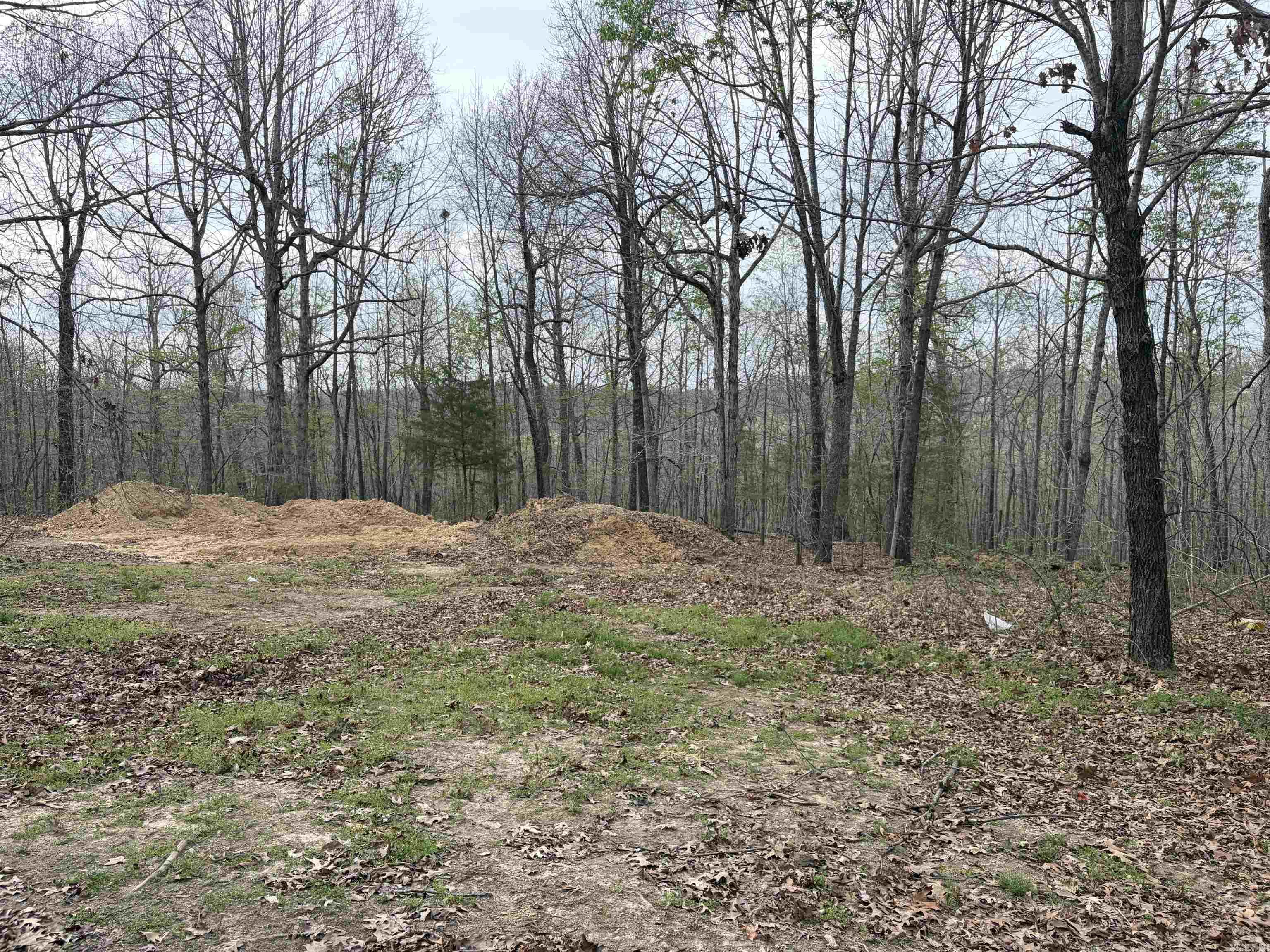 Photo 4 - Residential for sale – 187  Valleywood Lane   Salem, AR