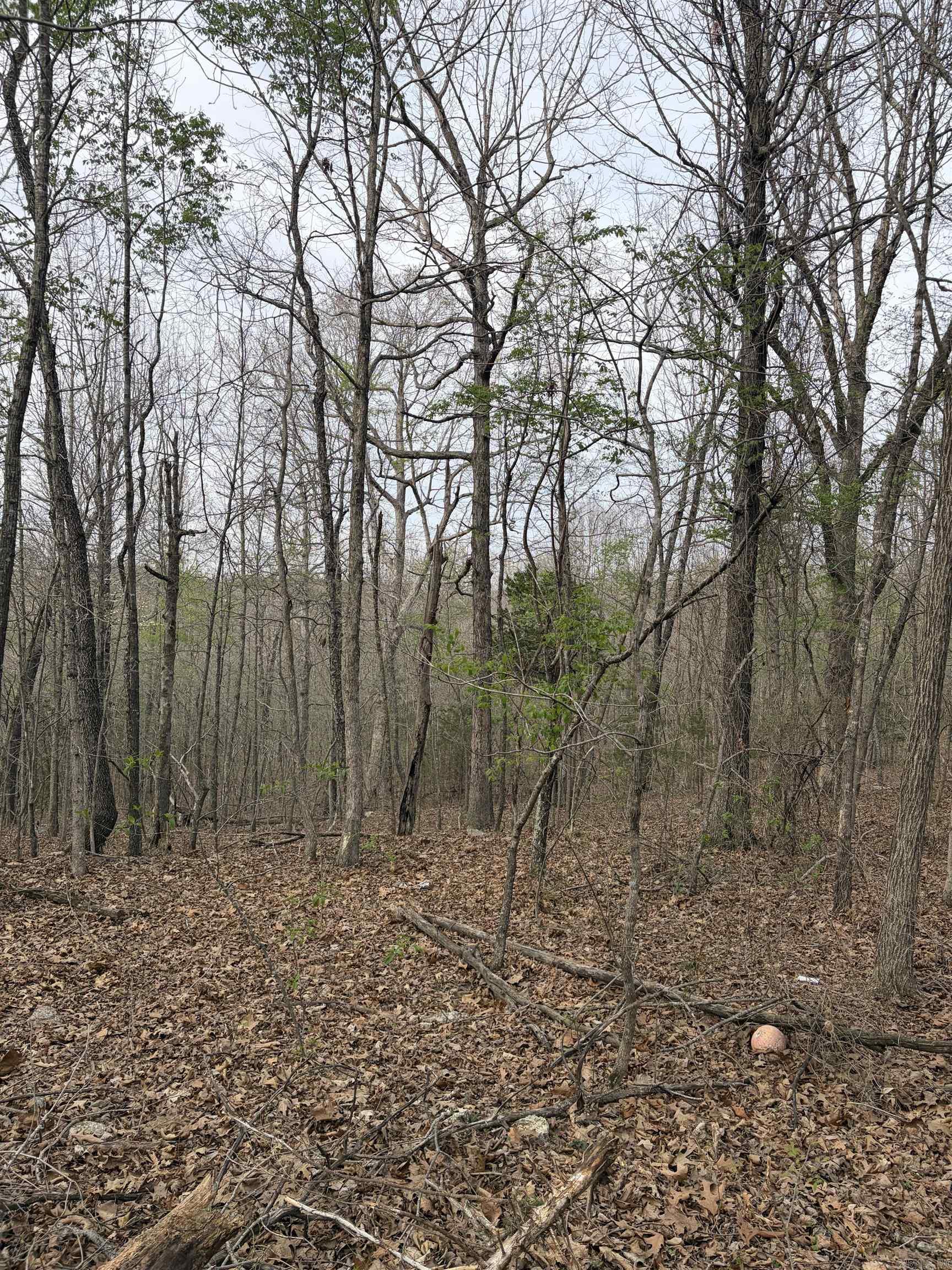 Photo 6 - Residential for sale – 187  Valleywood Lane   Salem, AR