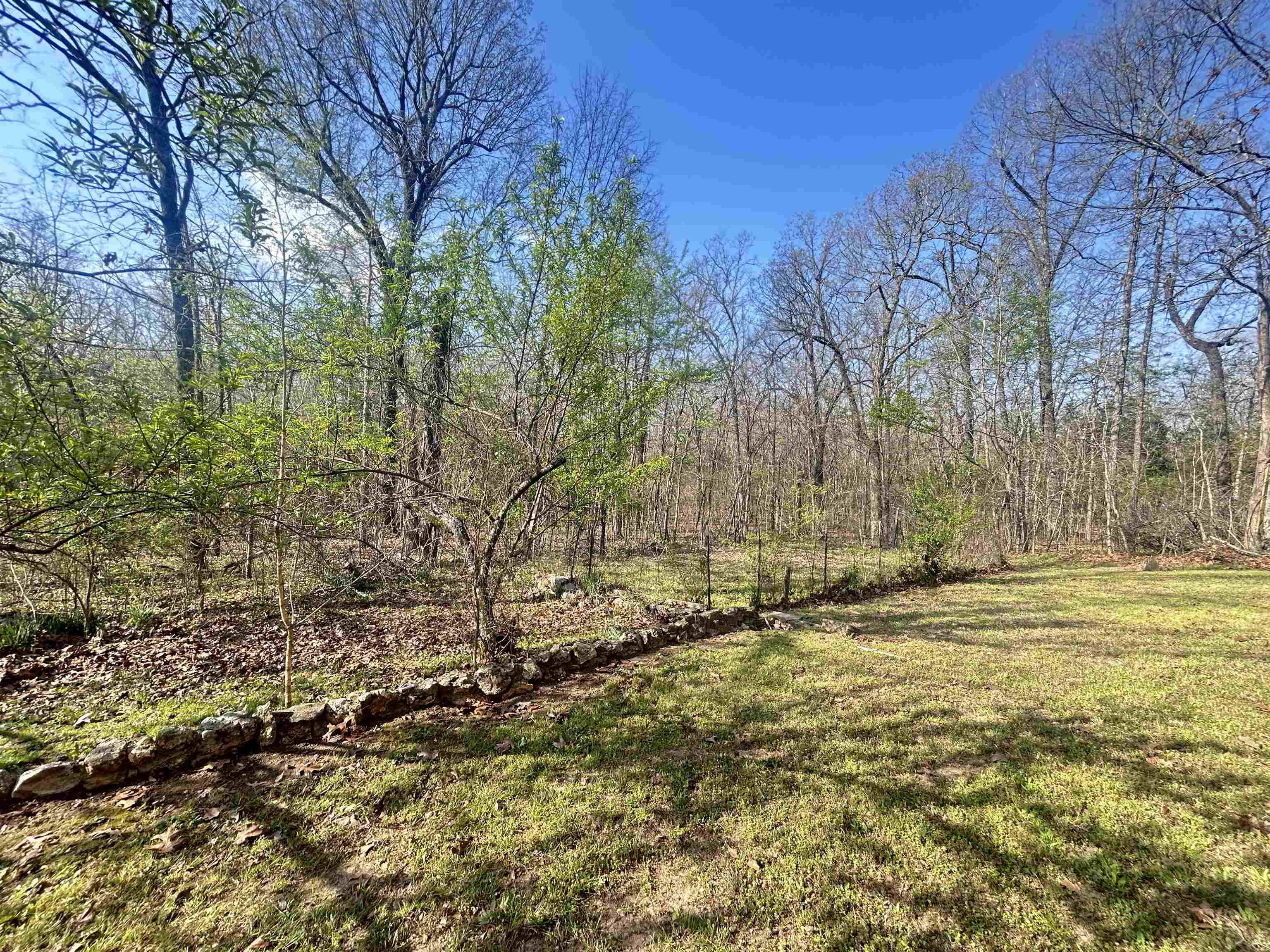 Photo 4 - Residential for sale – 85  Hictochee   Cherokee Village, AR