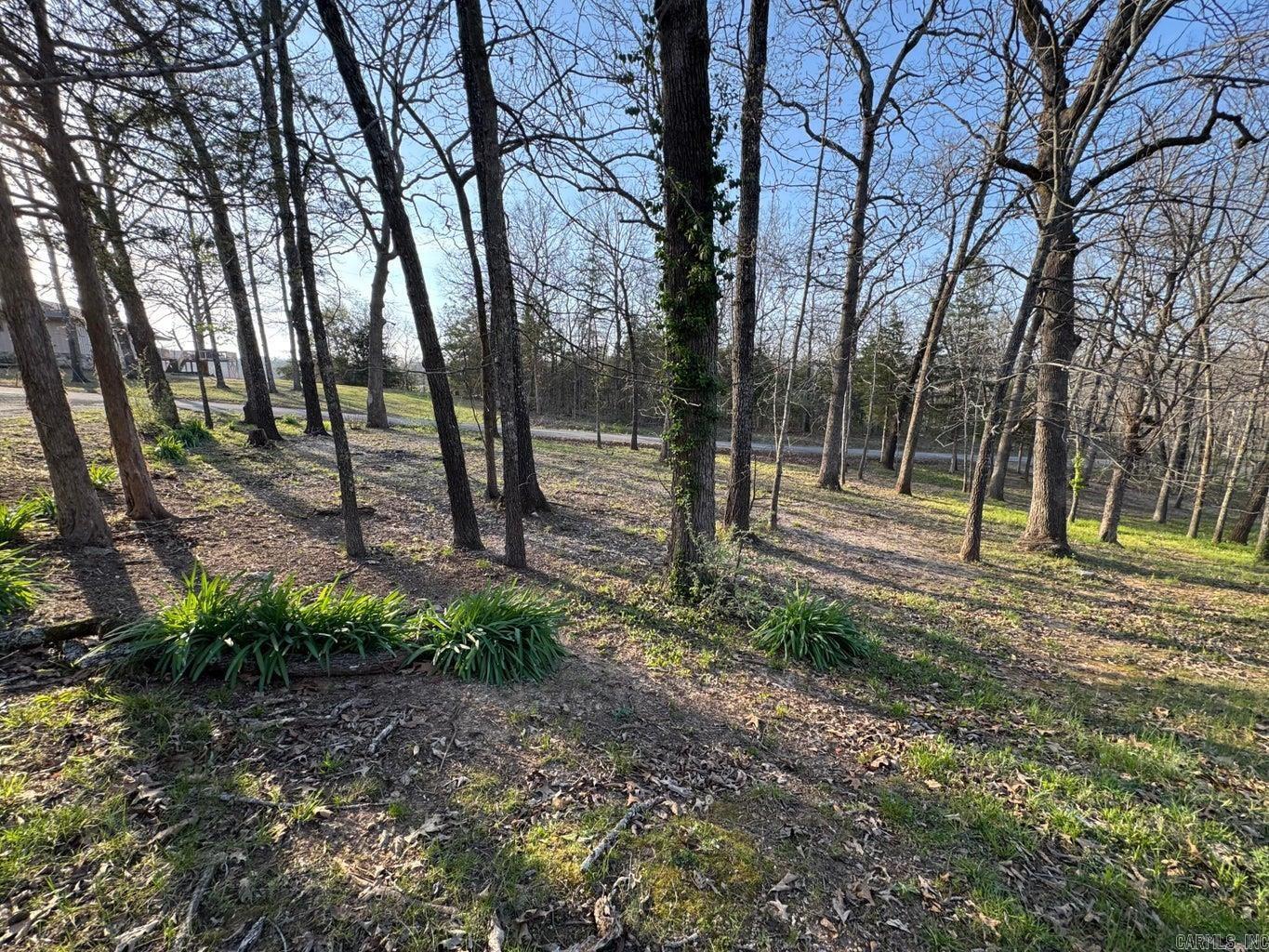 Photo 35 - Residential for sale – 1  Powhatan   Cherokee Village, AR