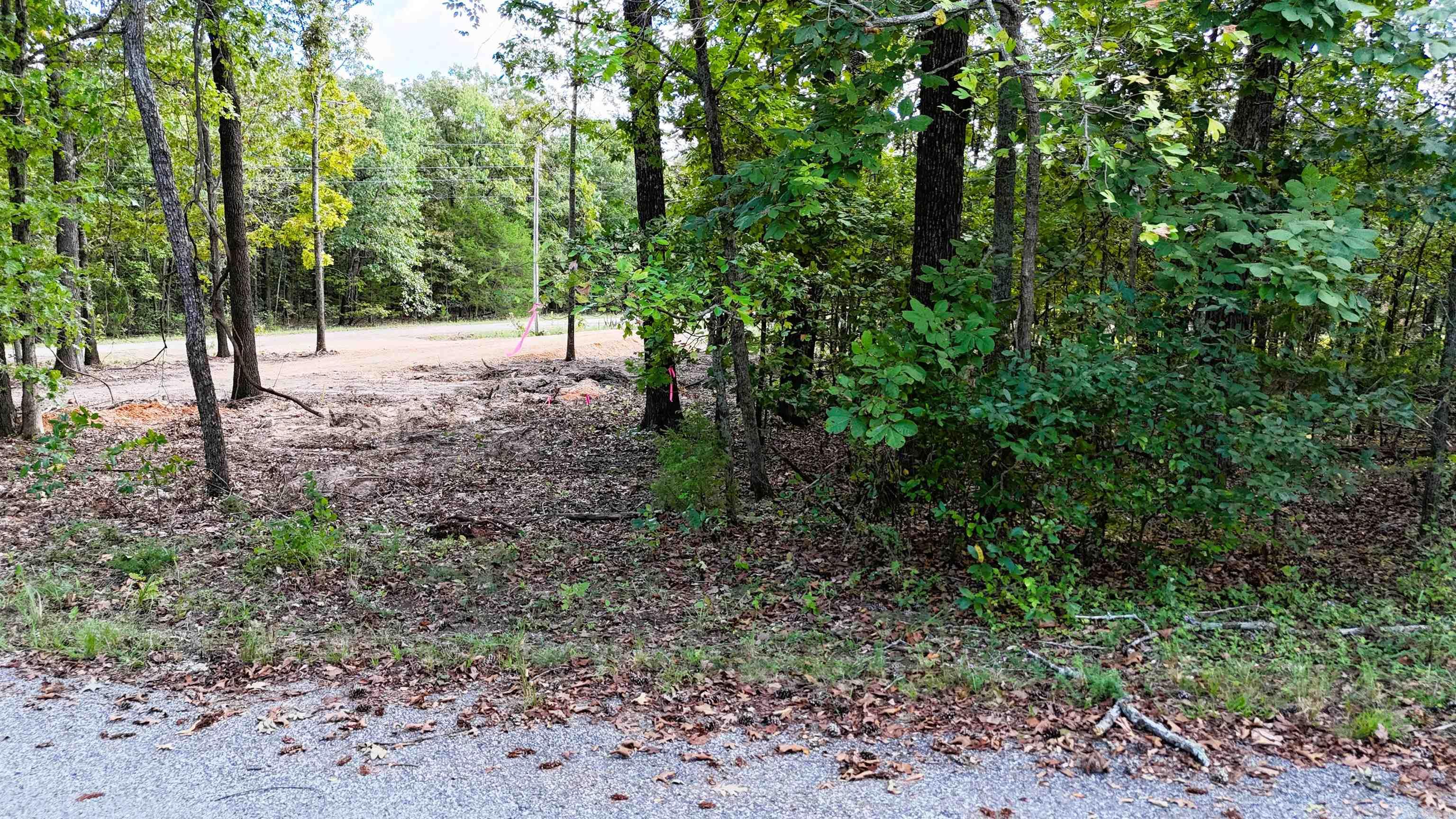 Photo 3 - Vacant Land for sale – 2504  Crescent   Horseshoe Bend, AR