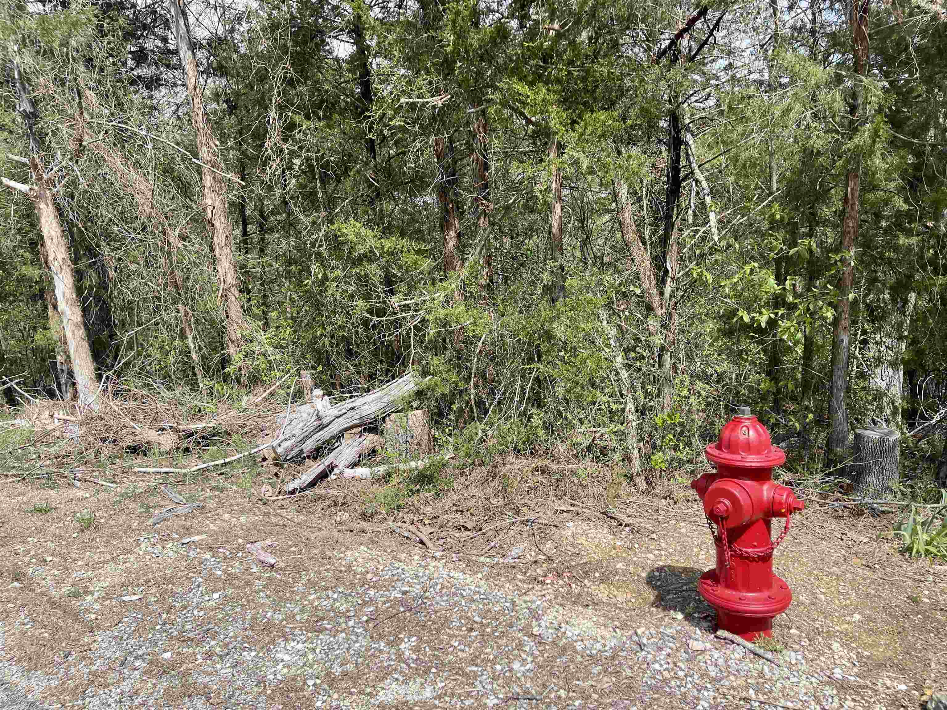 Photo 12 - Vacant Land for sale – 88  Isleta   Cherokee Village, AR