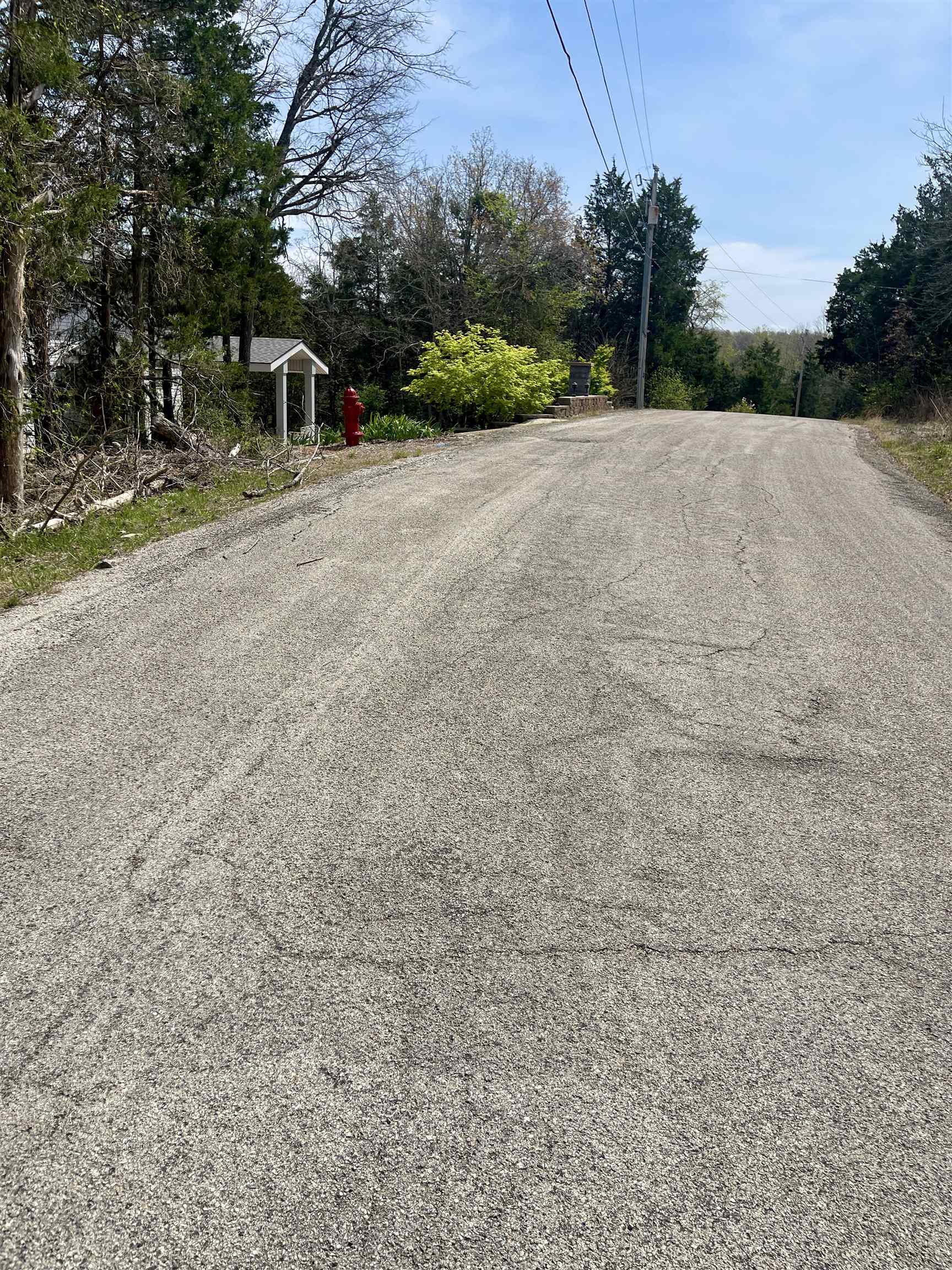 Photo 13 - Vacant Land for sale – 88  Isleta   Cherokee Village, AR