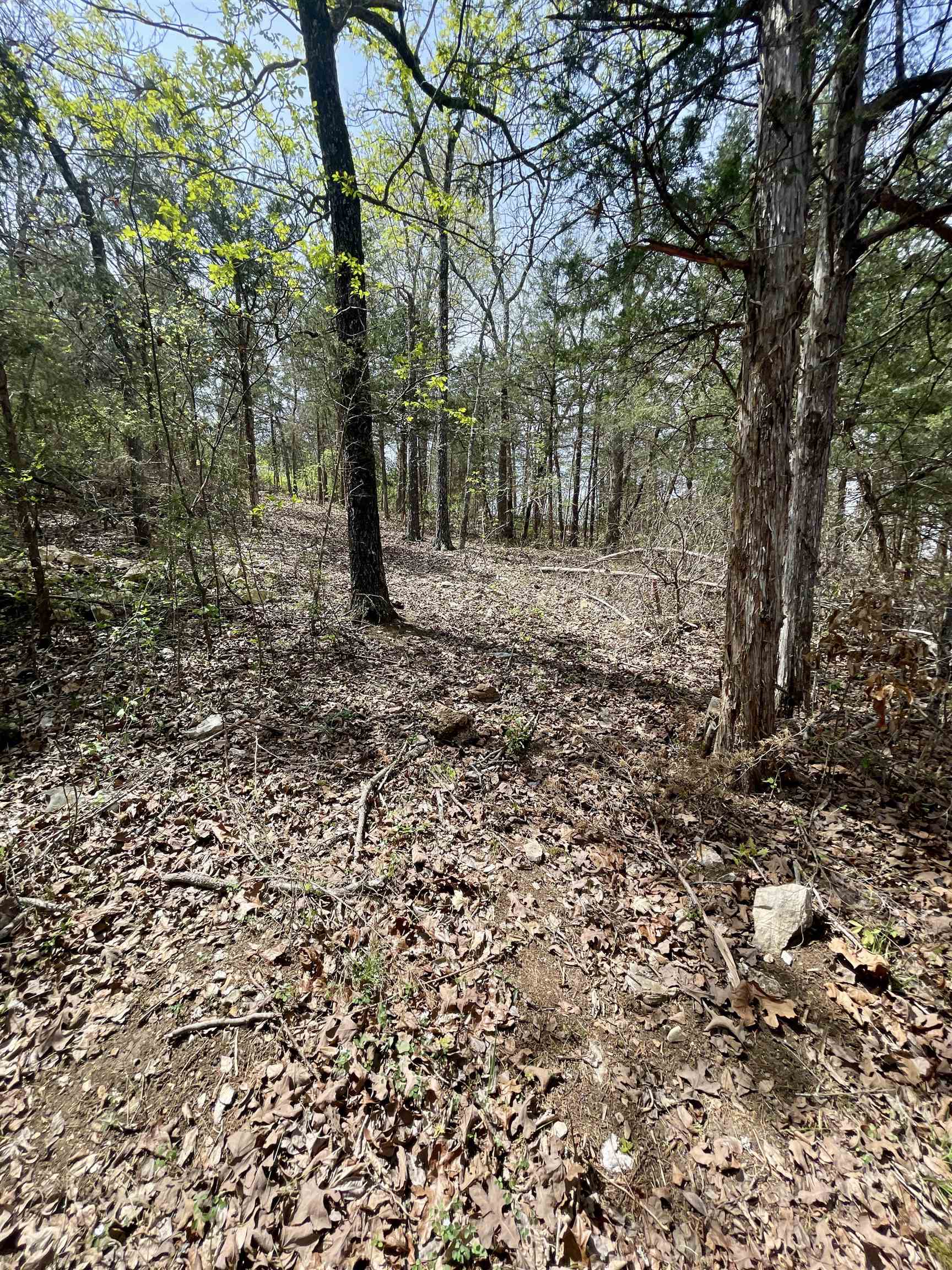 Photo 14 - Vacant Land for sale – 88  Isleta   Cherokee Village, AR