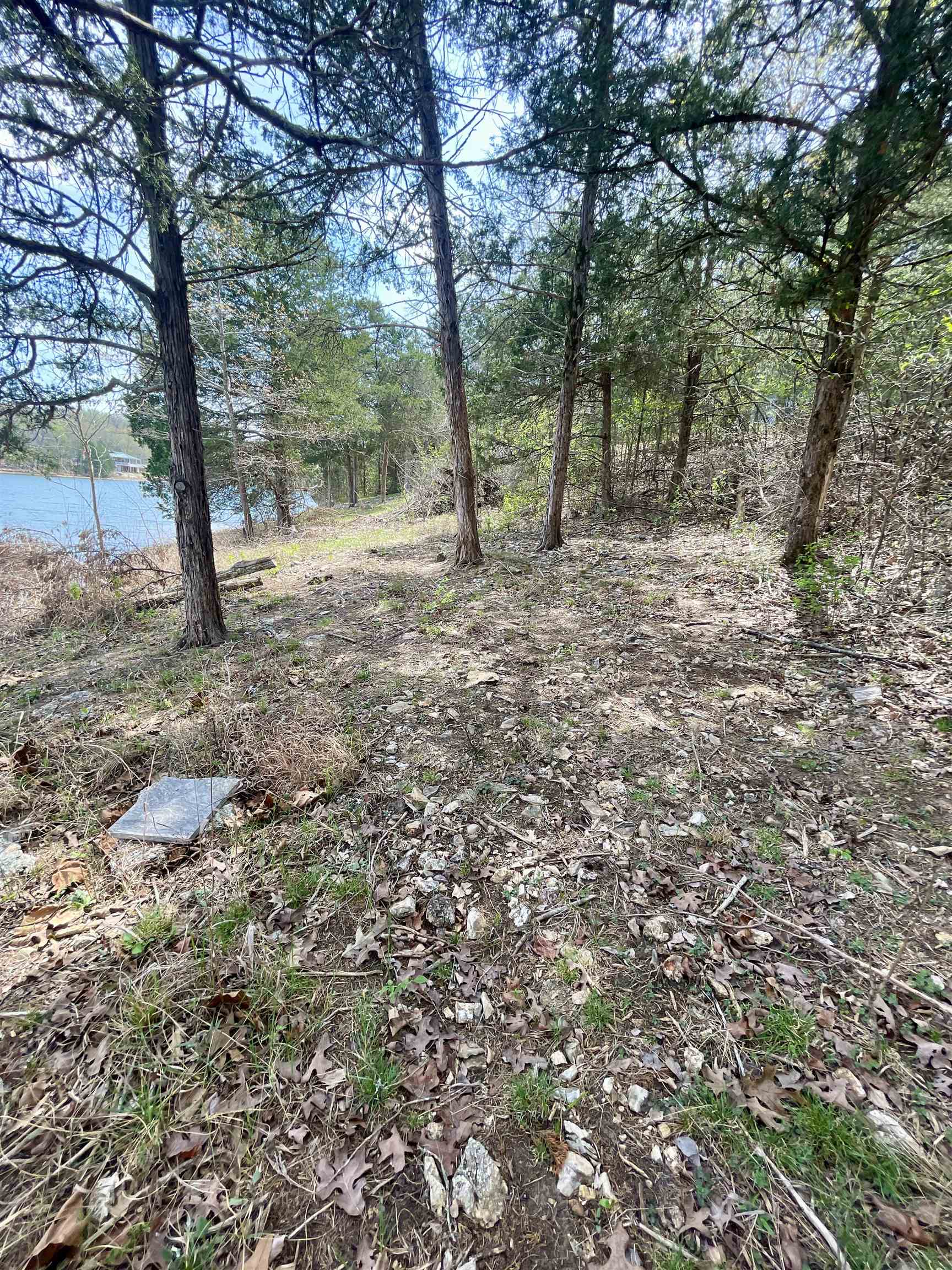 Photo 15 - Vacant Land for sale – 88  Isleta   Cherokee Village, AR