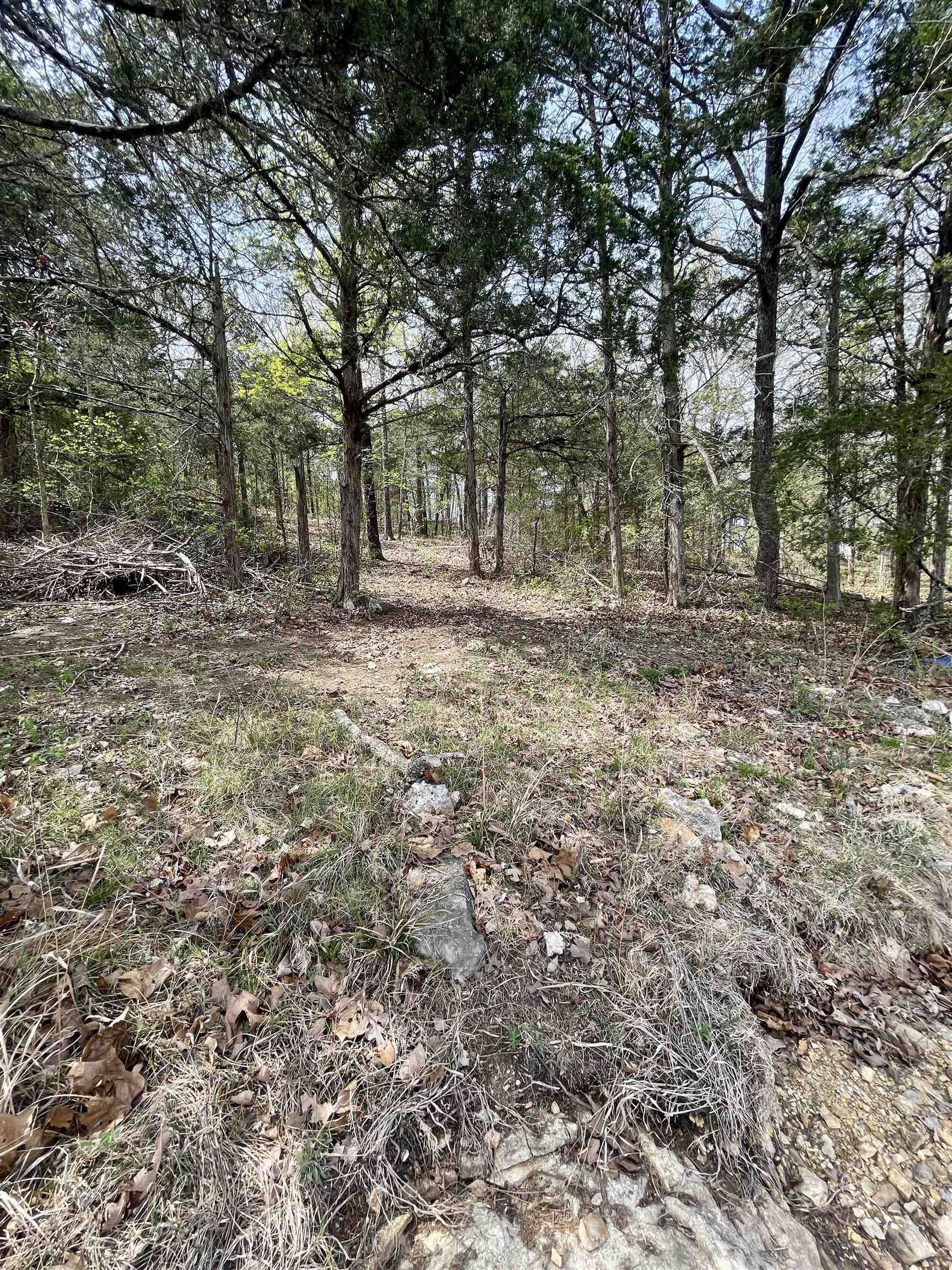 Photo 17 - Vacant Land for sale – 88  Isleta   Cherokee Village, AR