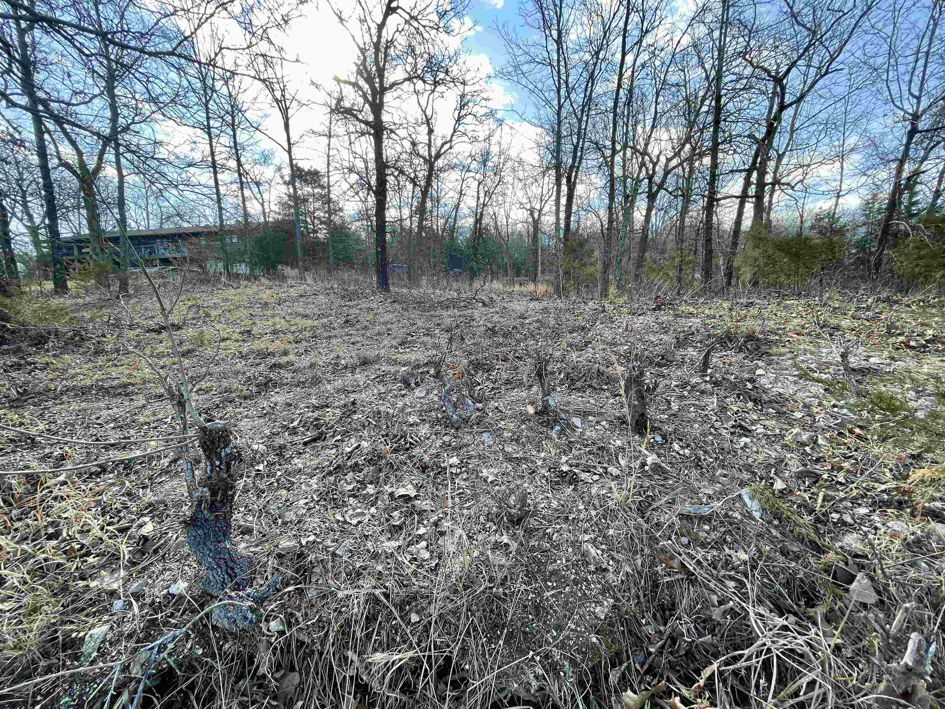 Photo 3 - Vacant Land for sale – 88  Isleta   Cherokee Village, AR