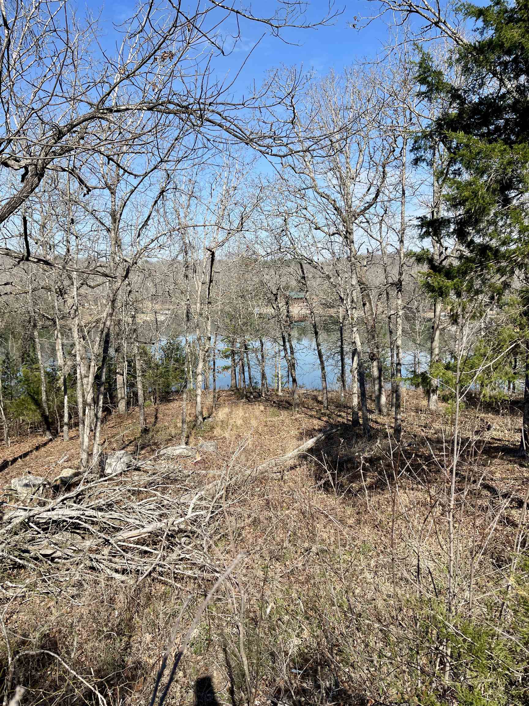 Photo 6 - Vacant Land for sale – 88  Isleta   Cherokee Village, AR