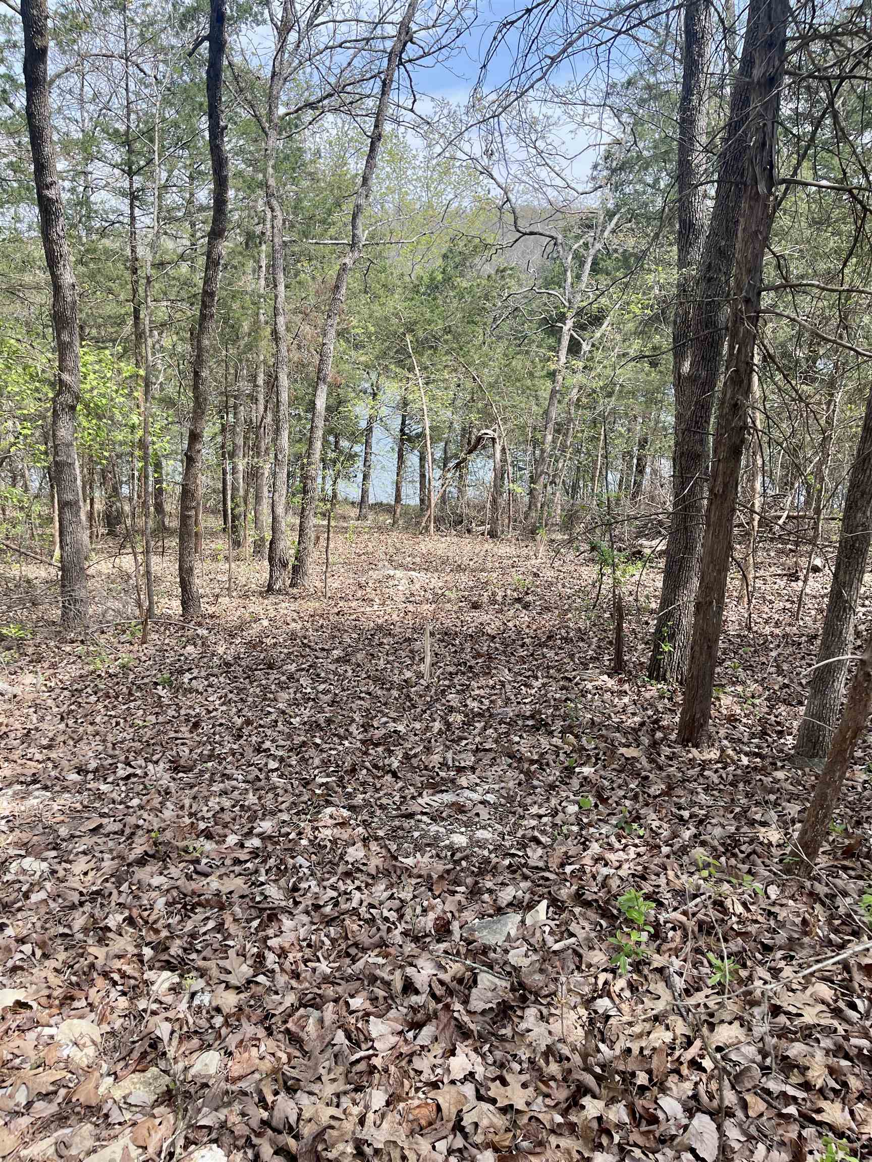 Photo 7 - Vacant Land for sale – 88  Isleta   Cherokee Village, AR
