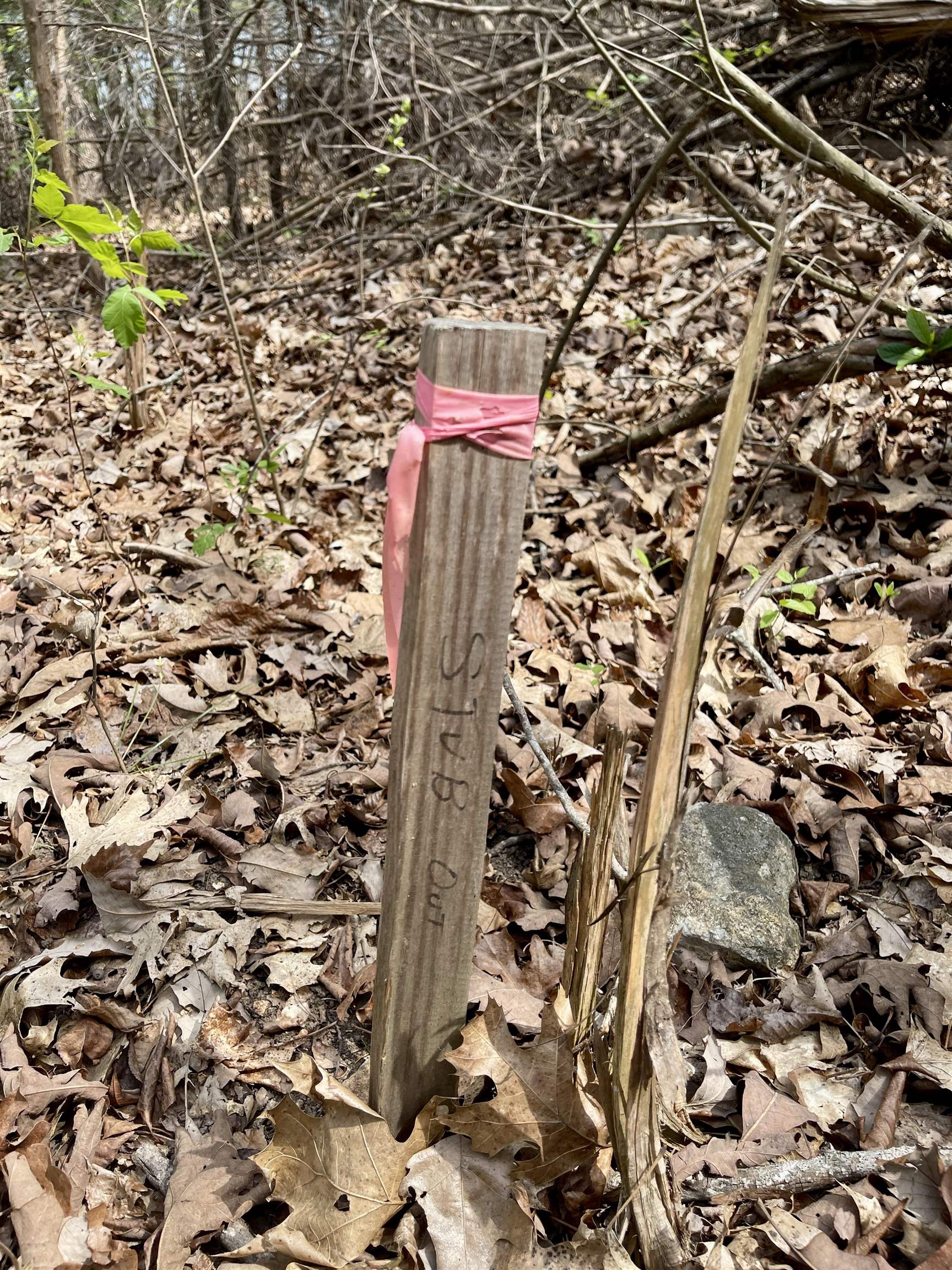 Photo 8 - Vacant Land for sale – 88  Isleta   Cherokee Village, AR