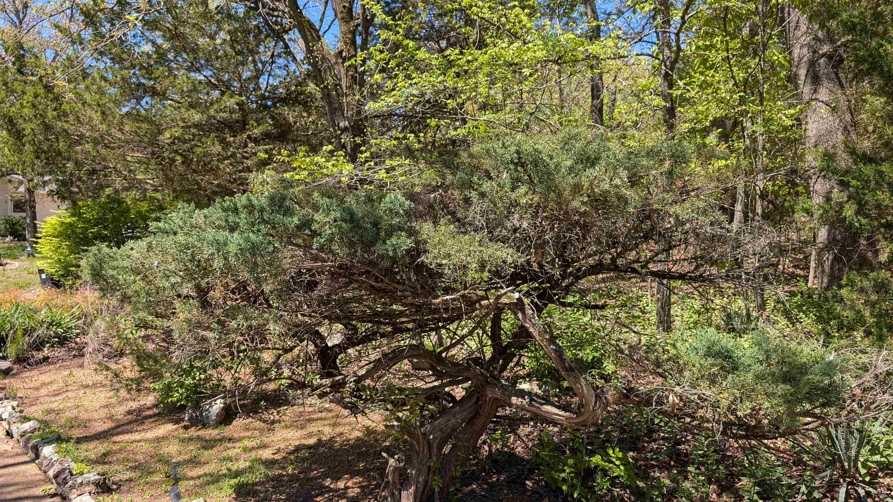 Photo 41 - Residential for sale – 1012  Fairwater   Horseshoe Bend, AR