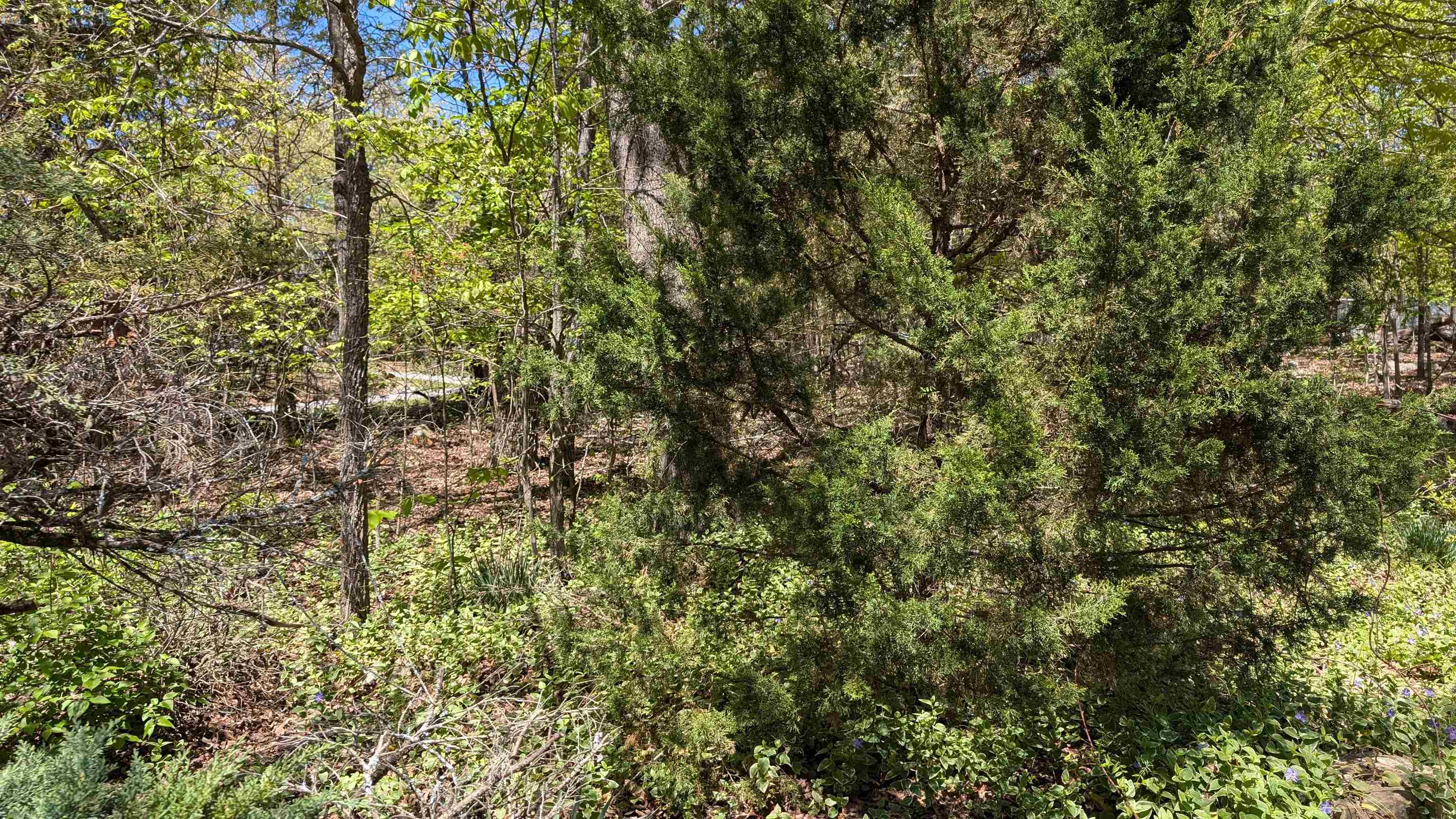 Photo 42 - Residential for sale – 1012  Fairwater   Horseshoe Bend, AR