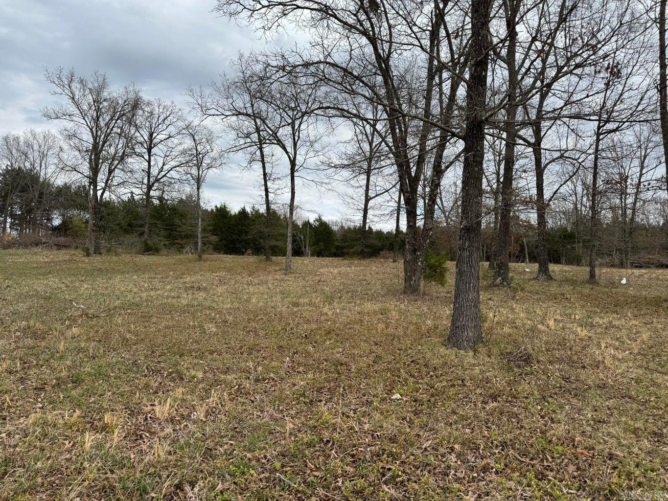 Photo 3 - Vacant Land for sale – 8 acres  Hwy 167   Ash Flat, AR