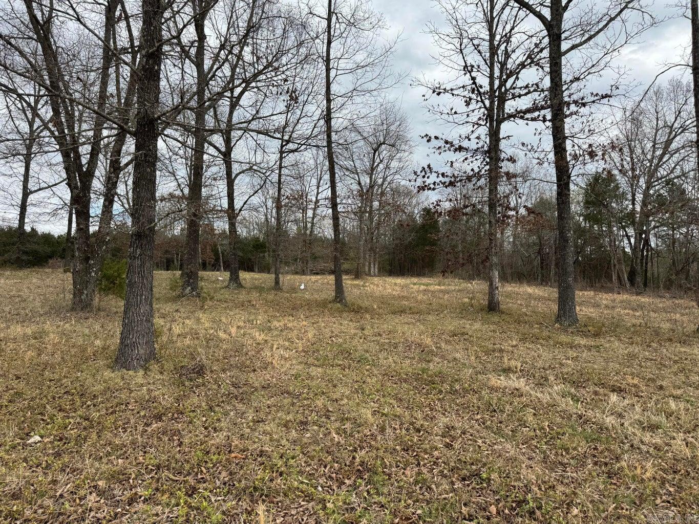 Photo 4 - Vacant Land for sale – 8 acres  Hwy 167   Ash Flat, AR