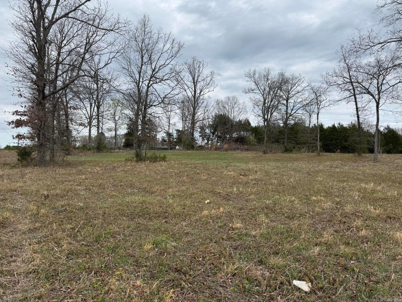 Photo 5 - Vacant Land for sale – 8 acres  Hwy 167   Ash Flat, AR