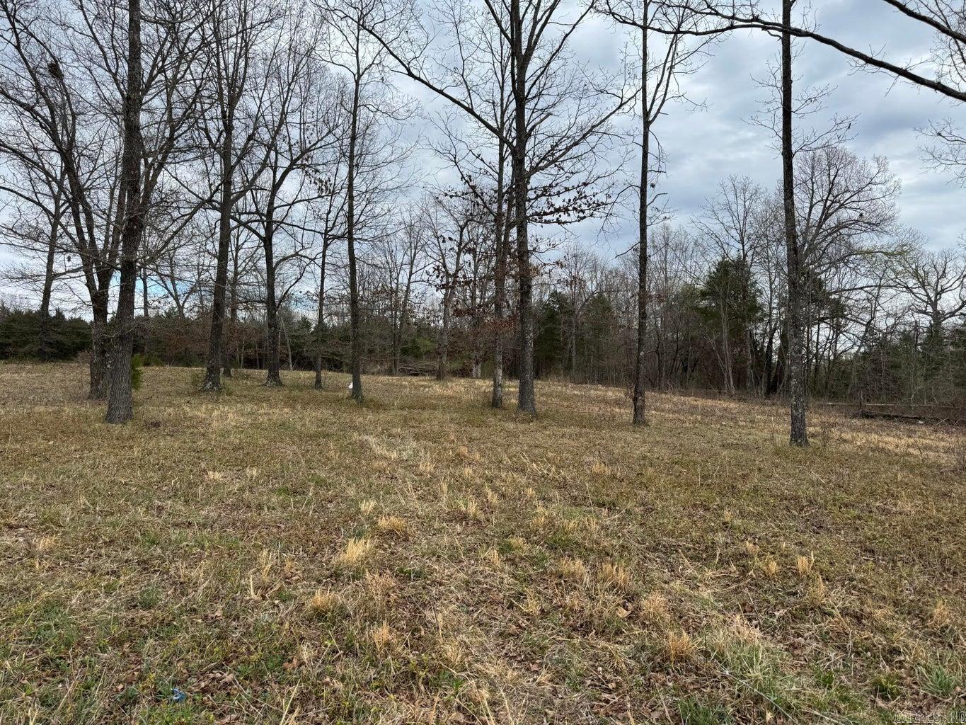 Photo 6 - Vacant Land for sale – 8 acres  Hwy 167   Ash Flat, AR