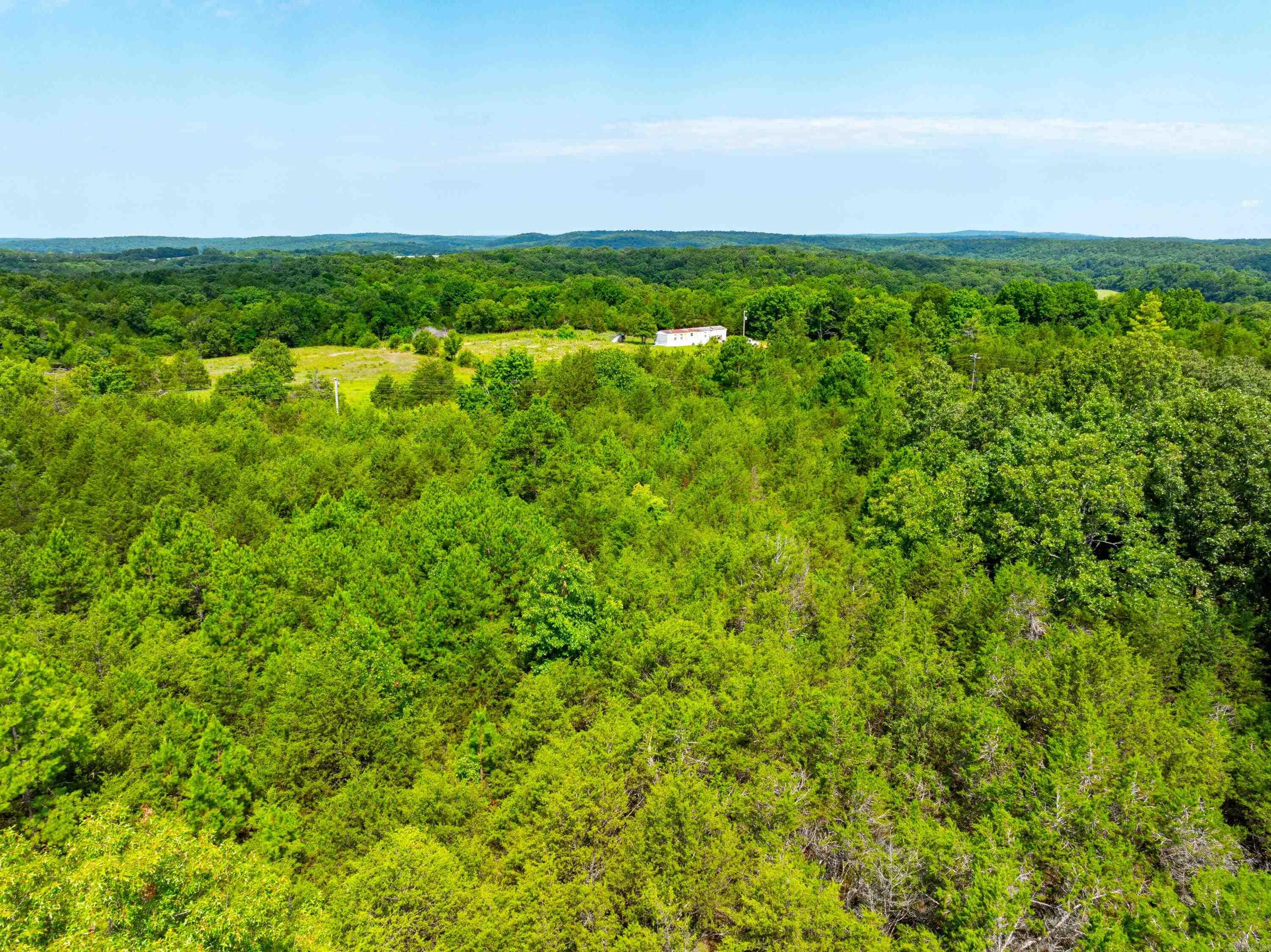 Photo 11 - Vacant Land for sale – 58  Arkansas   Poughkeepsie, AR