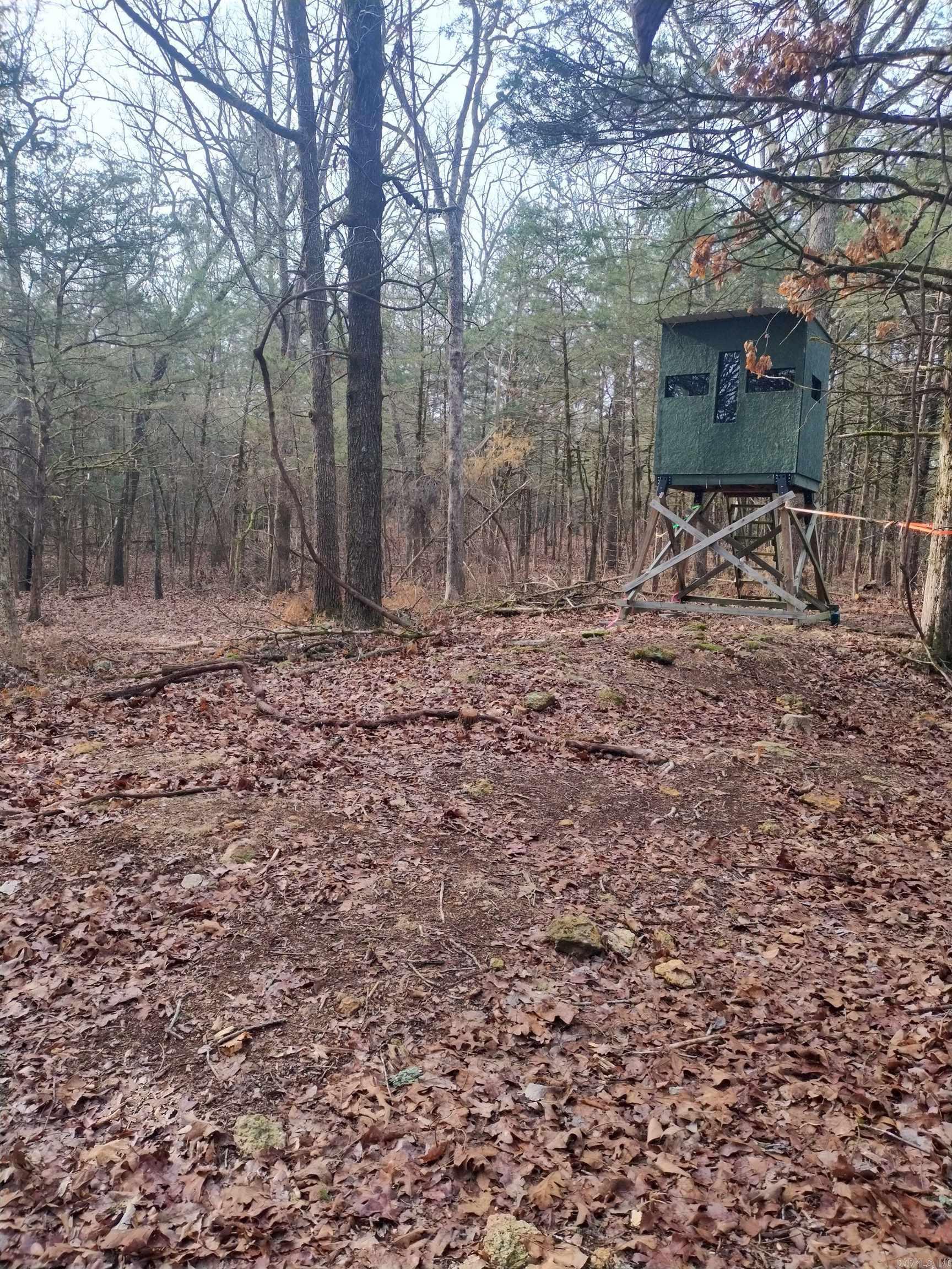 Photo 21 - Vacant Land for sale – 58  Arkansas   Poughkeepsie, AR