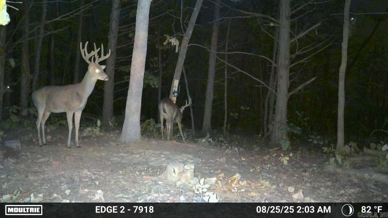 Photo 22 - Vacant Land for sale – 58  Arkansas   Poughkeepsie, AR