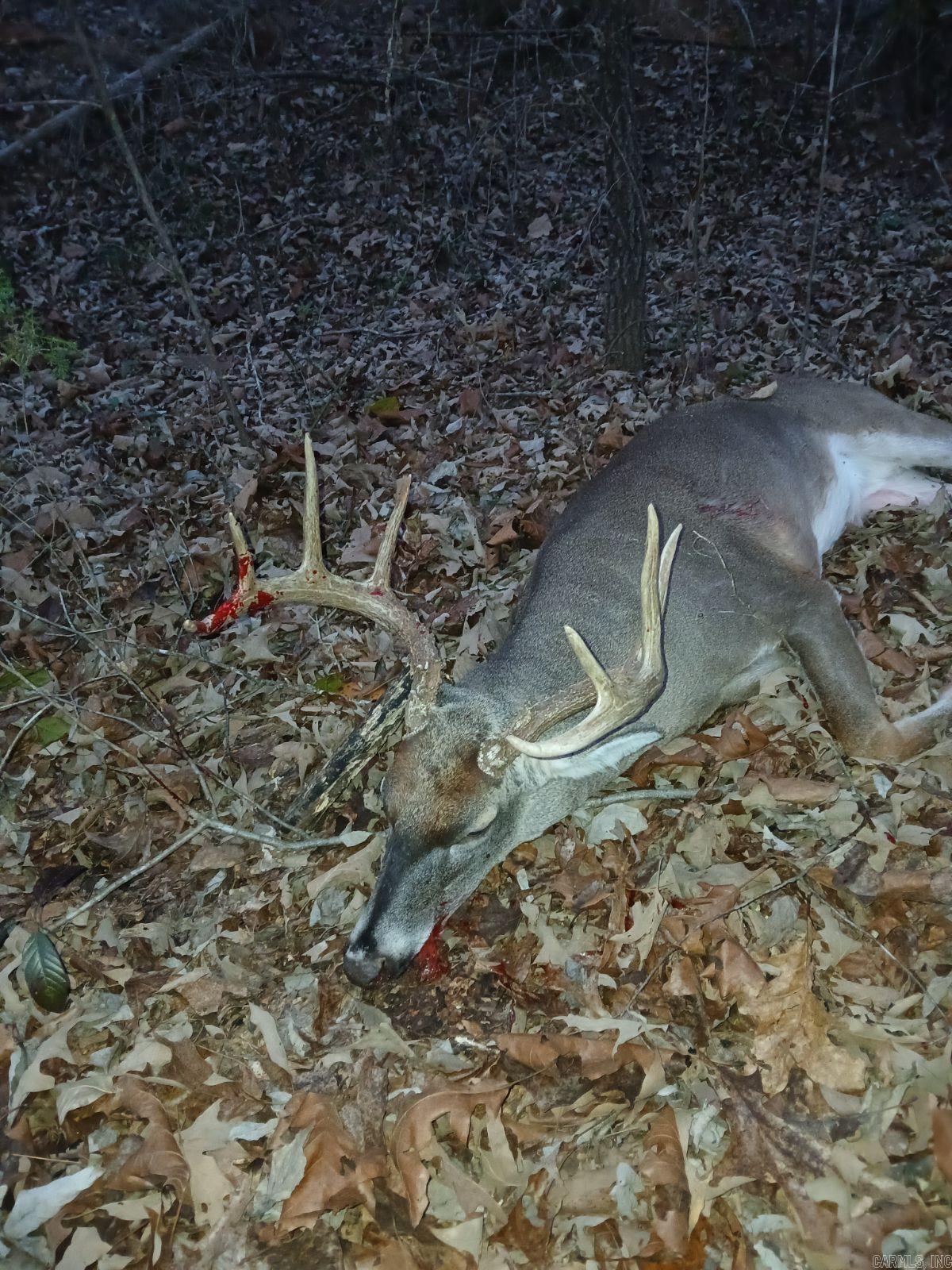 Photo 6 - Vacant Land for sale – 58  Arkansas   Poughkeepsie, AR