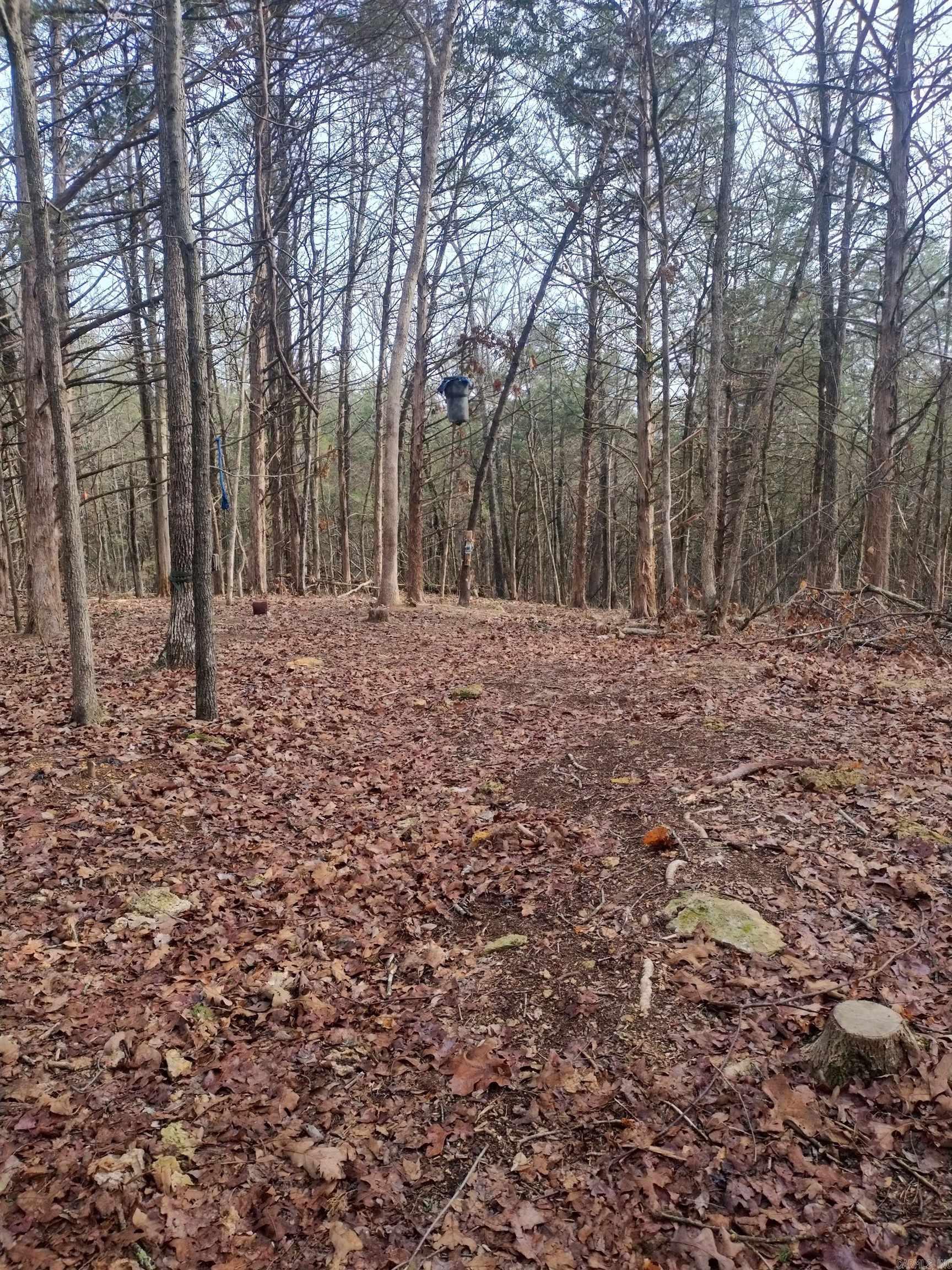 Photo 8 - Vacant Land for sale – 58  Arkansas   Poughkeepsie, AR