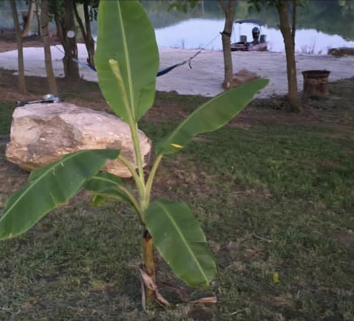 Photo 14 - Vacant Land for sale – 970  White River Run   Guion, AR