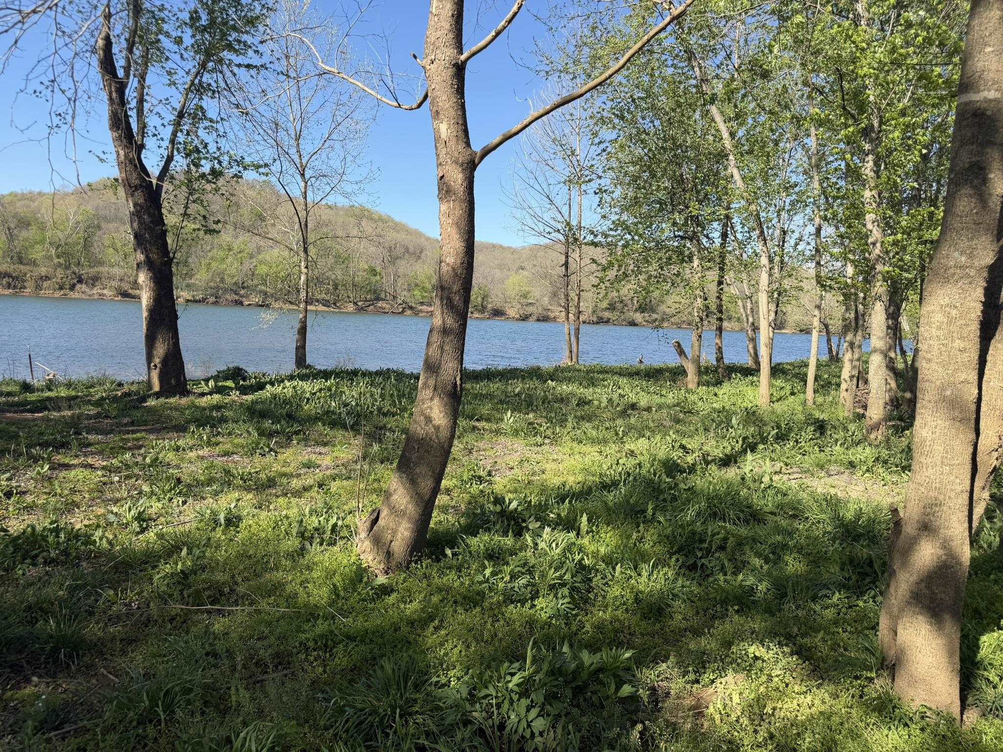 Photo 21 - Vacant Land for sale – 970  White River Run   Guion, AR