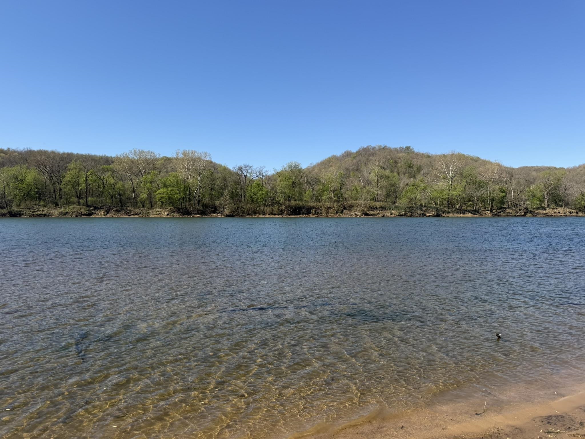 Photo 9 - Vacant Land for sale – 970  White River Run   Guion, AR